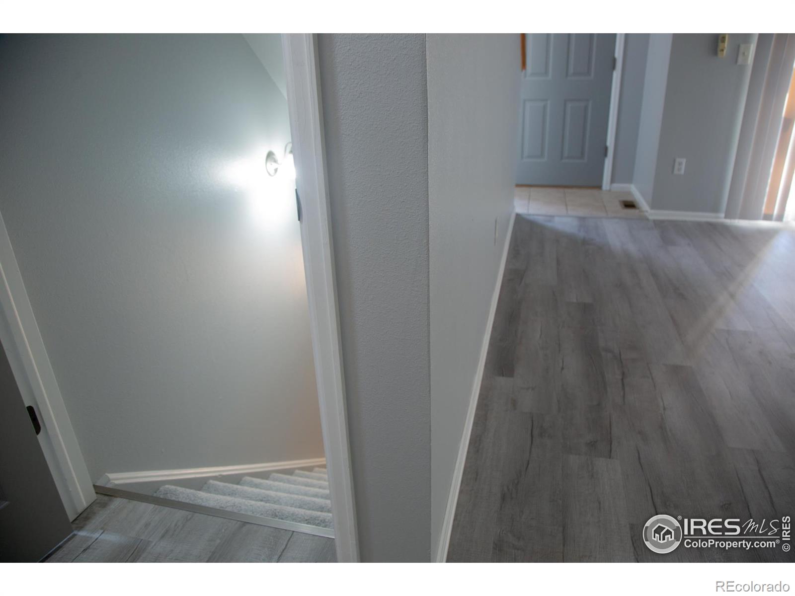 MLS Image #27 for 135  carina circle,loveland, Colorado
