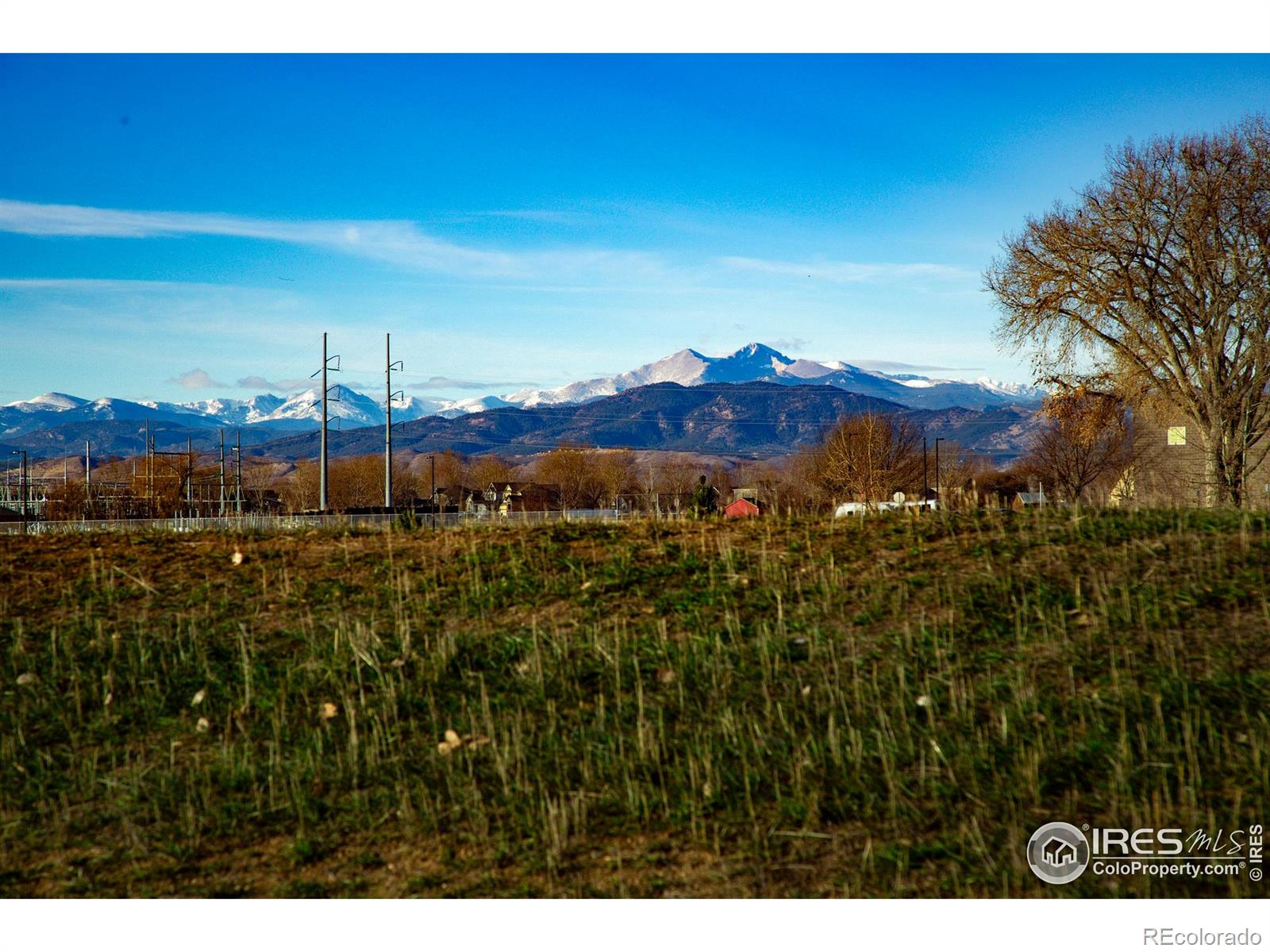 MLS Image #41 for 135  carina circle,loveland, Colorado