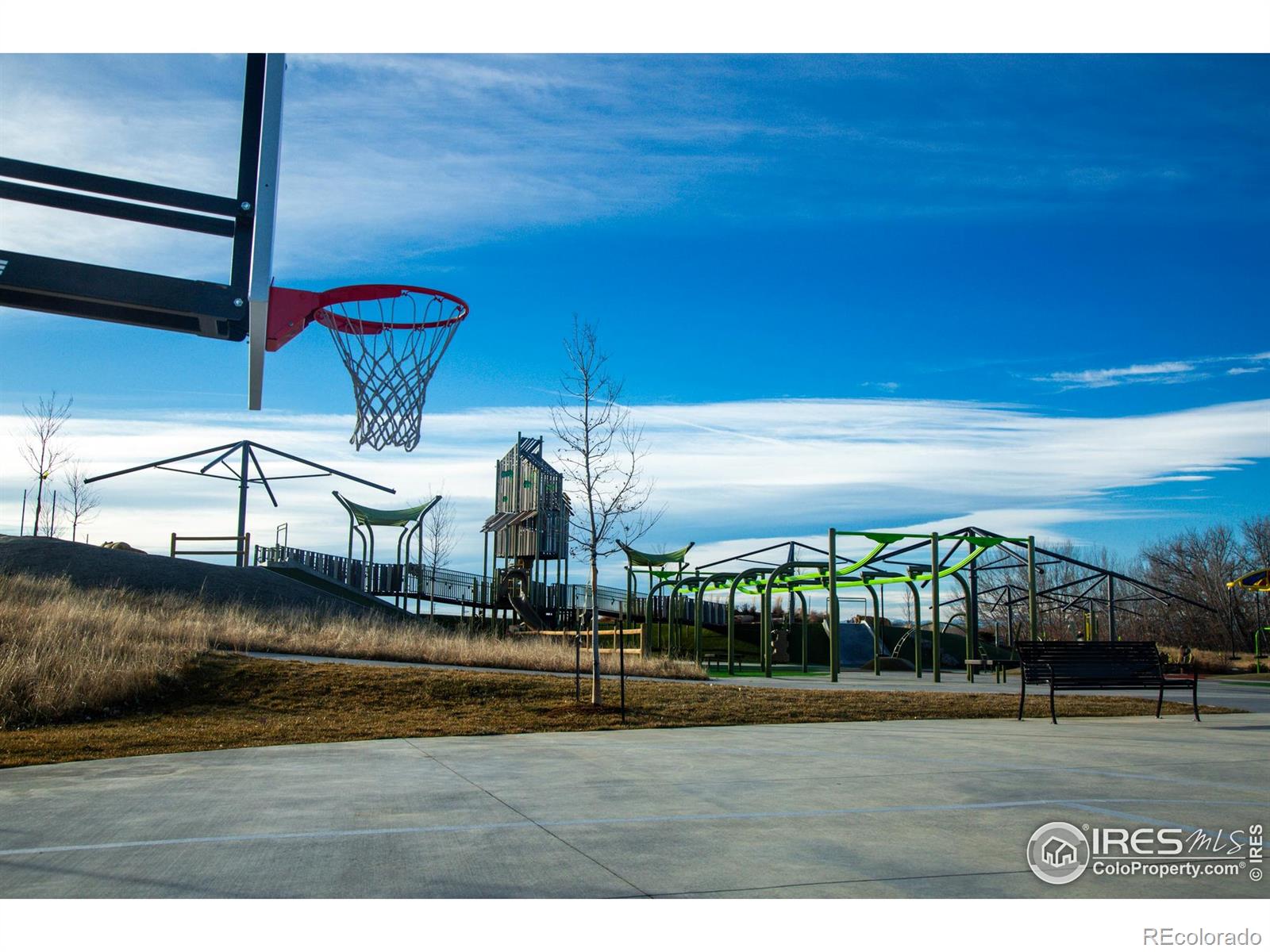 MLS Image #43 for 135  carina circle,loveland, Colorado