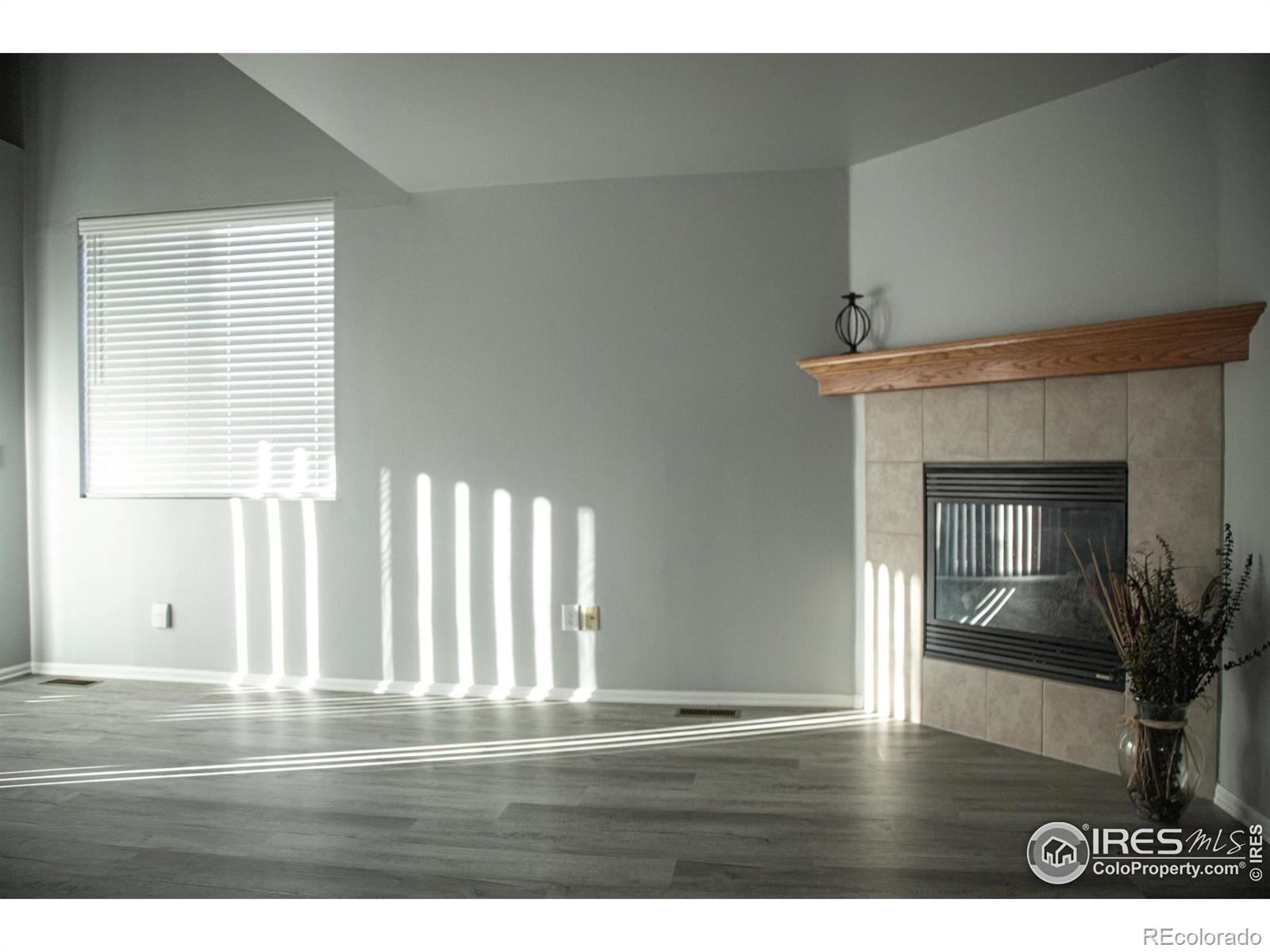 MLS Image #7 for 135  carina circle,loveland, Colorado