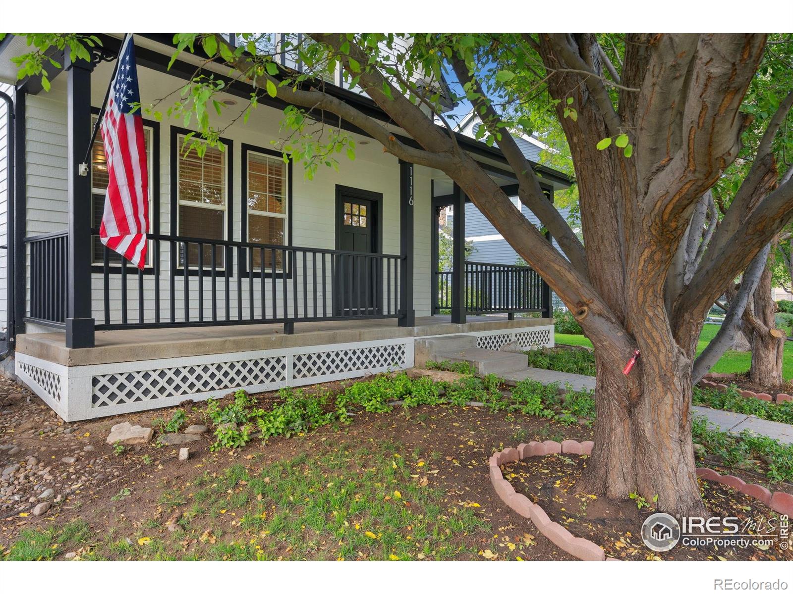 MLS Image #3 for 1116  grand avenue,windsor, Colorado
