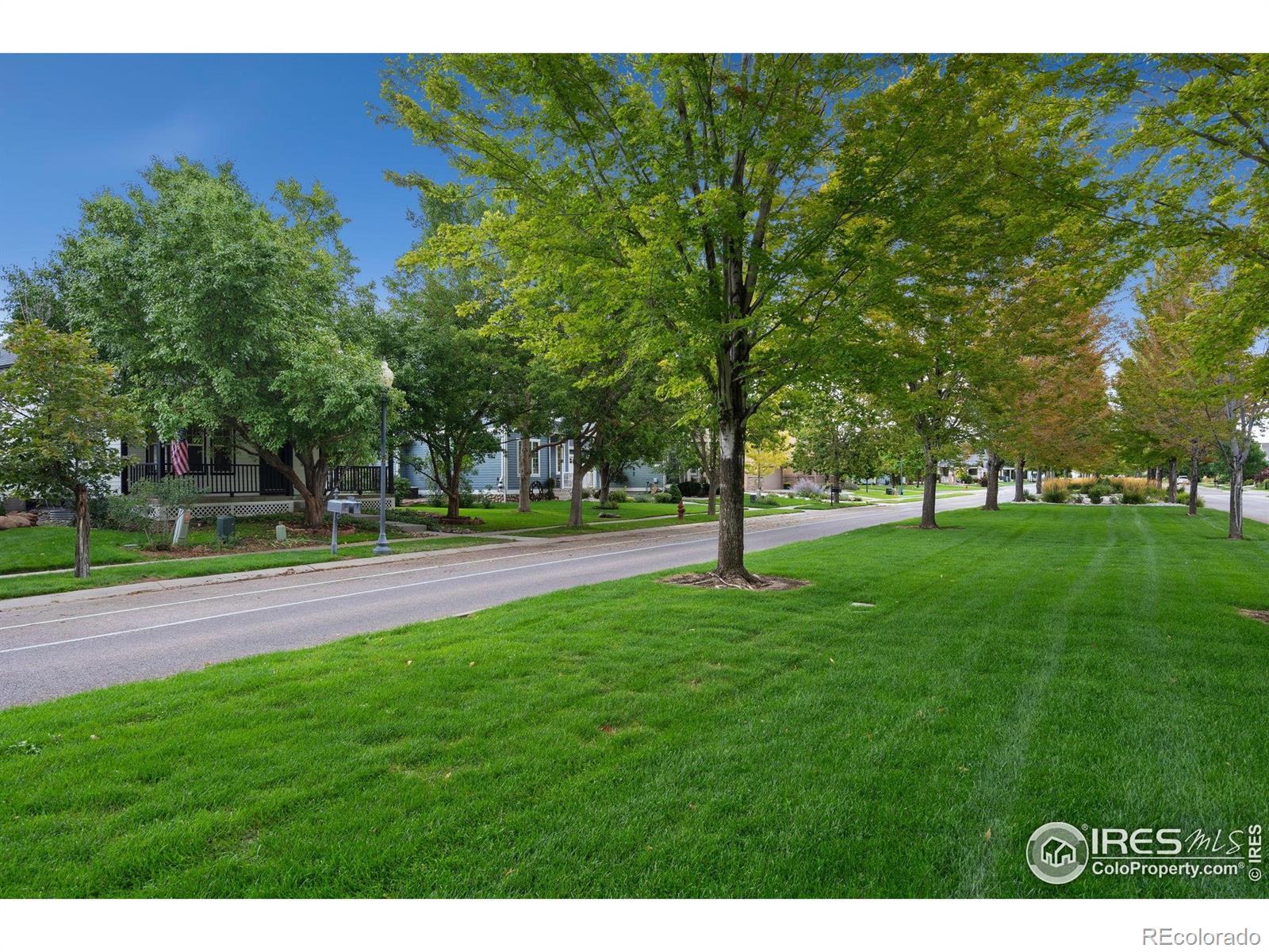 MLS Image #38 for 1116  grand avenue,windsor, Colorado