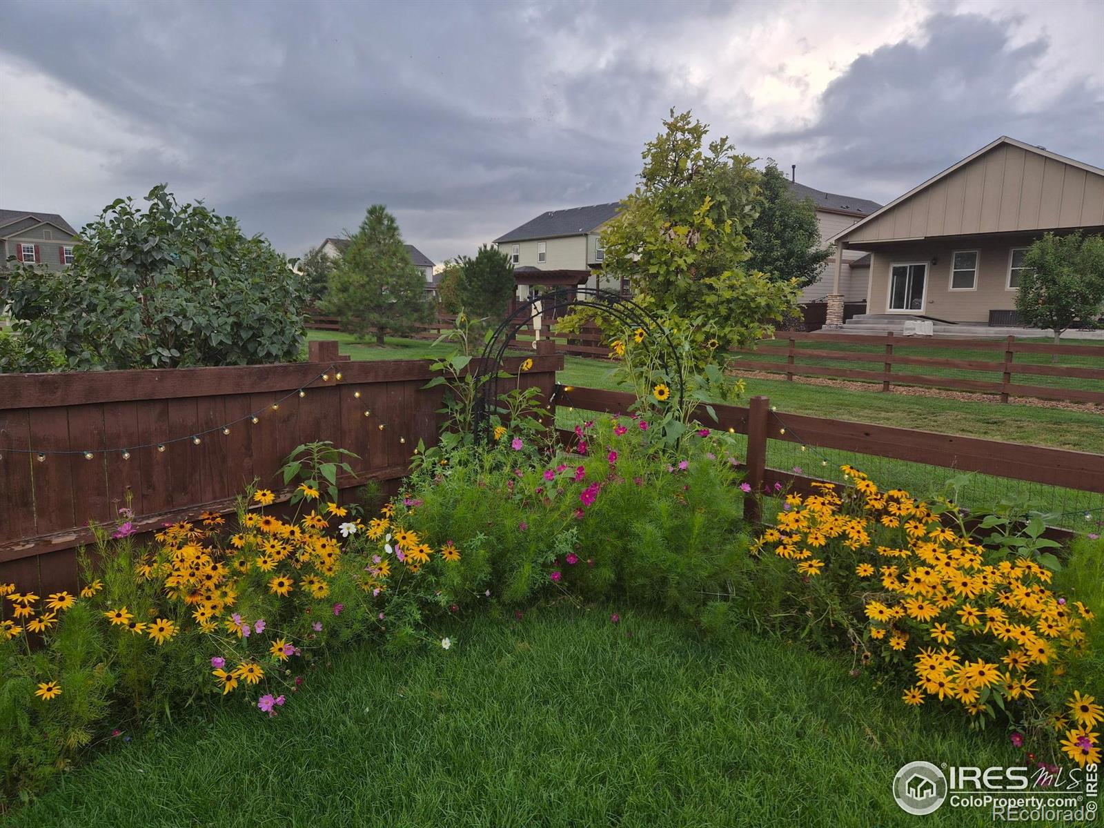 MLS Image #37 for 6734  grainery road,timnath, Colorado