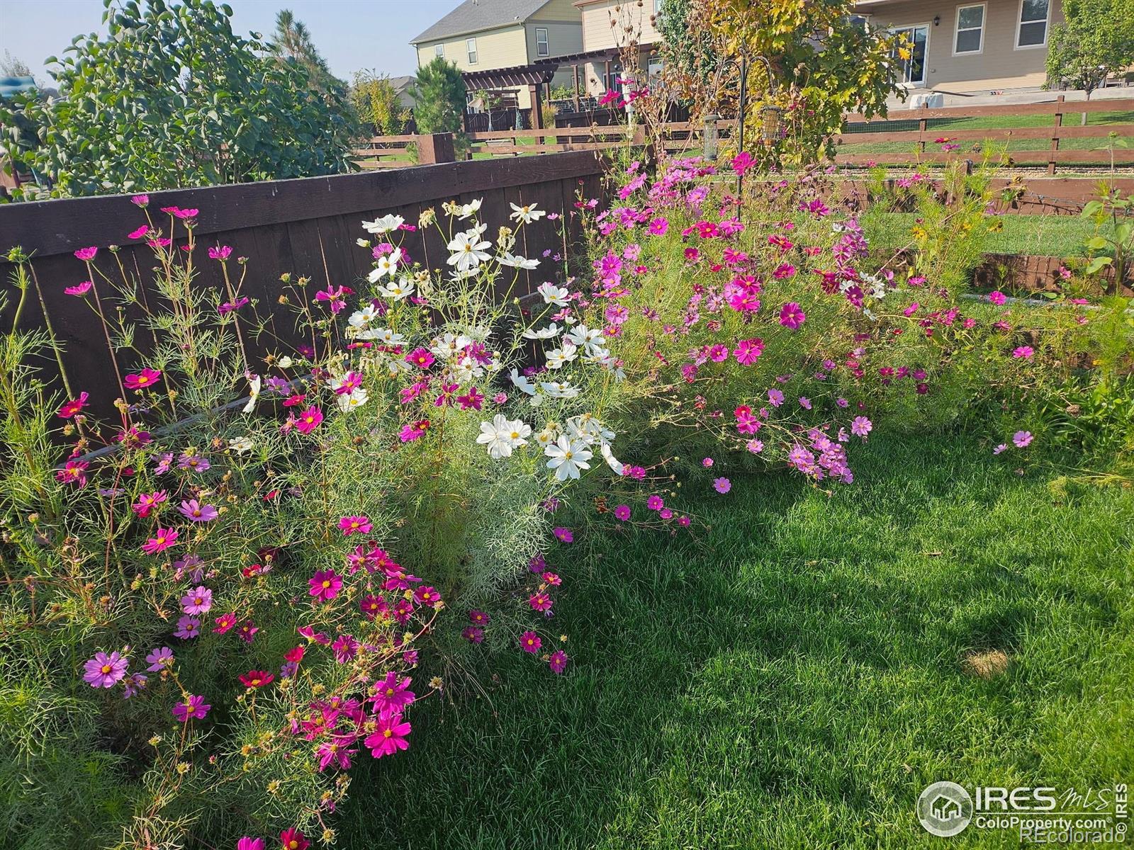 MLS Image #38 for 6734  grainery road,timnath, Colorado