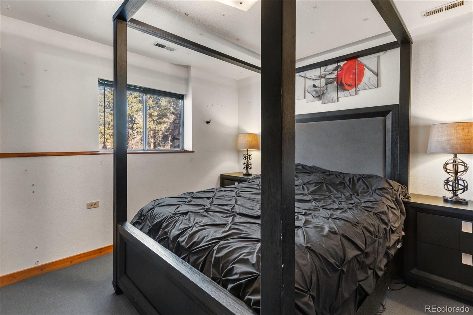 MLS Image #14 for 13469  old timer trail,woodland park, Colorado
