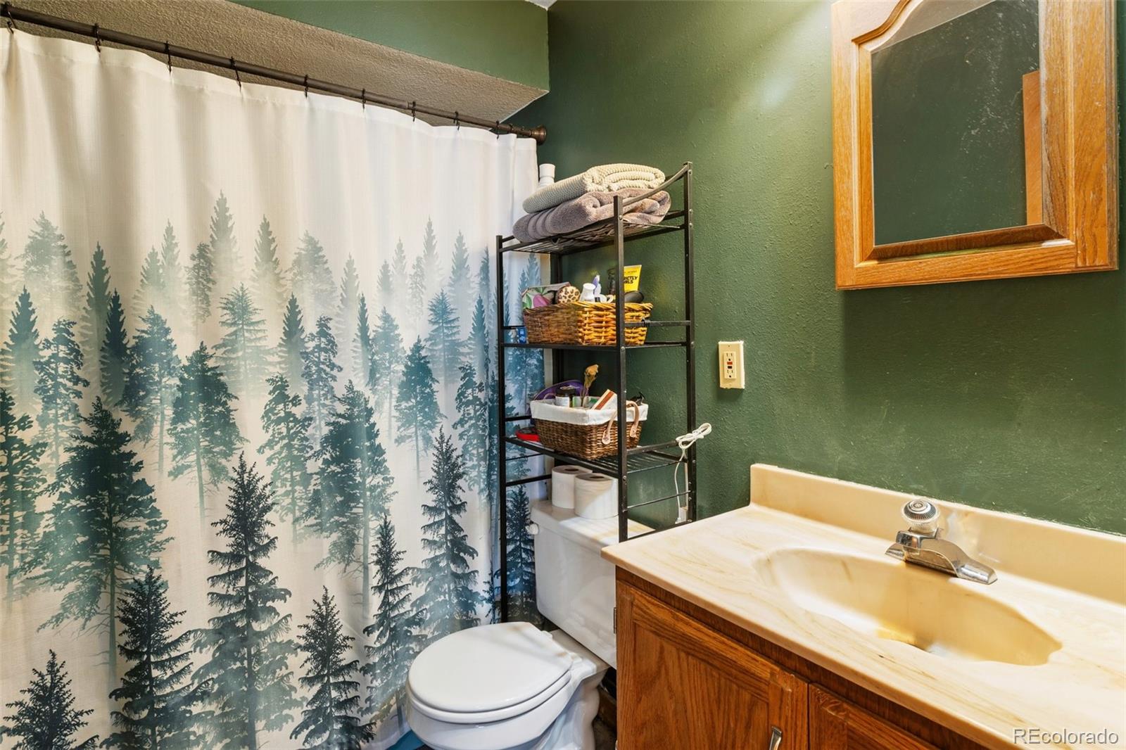 MLS Image #16 for 13469  old timer trail,woodland park, Colorado