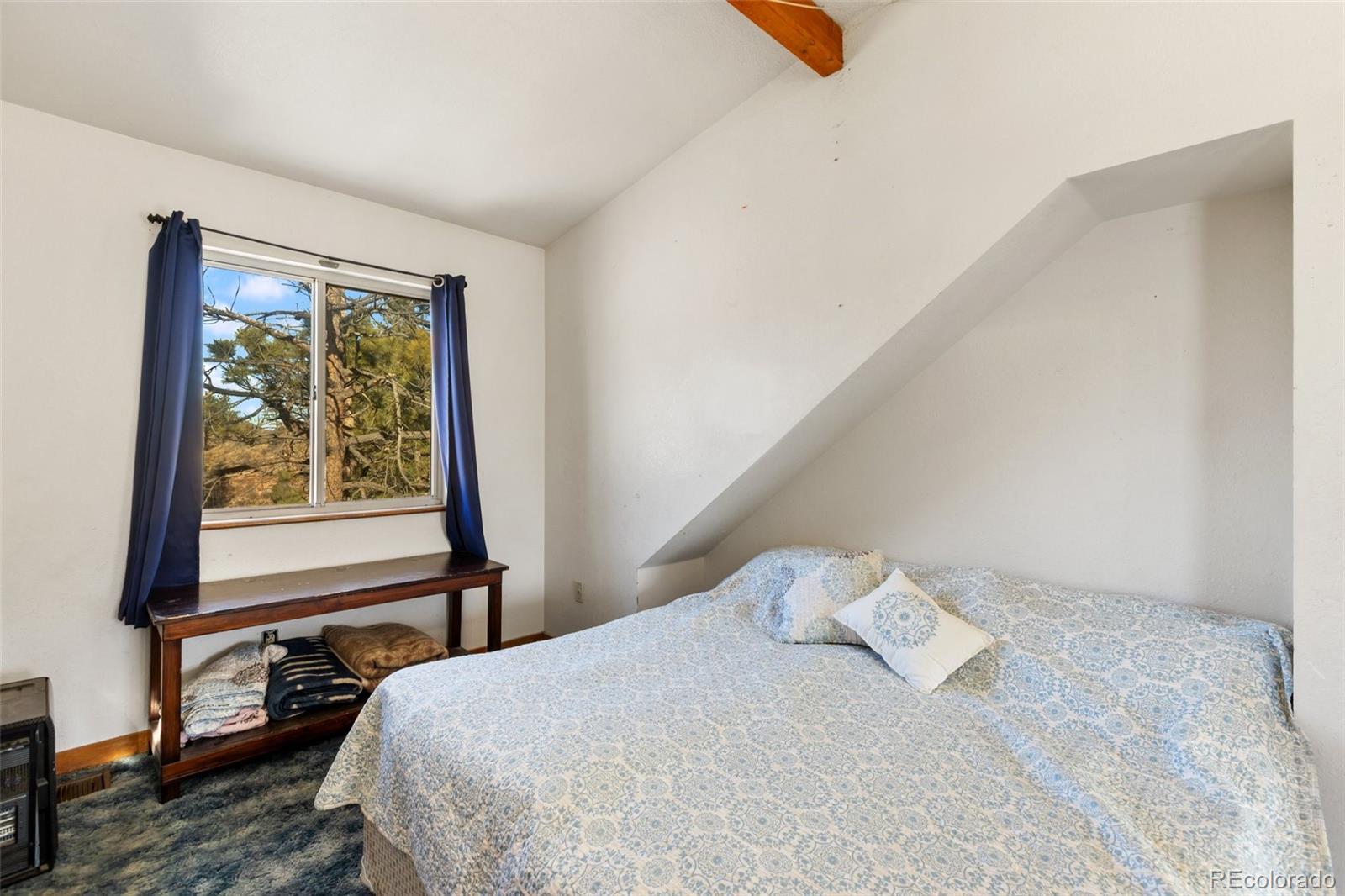 MLS Image #25 for 13469  old timer trail,woodland park, Colorado