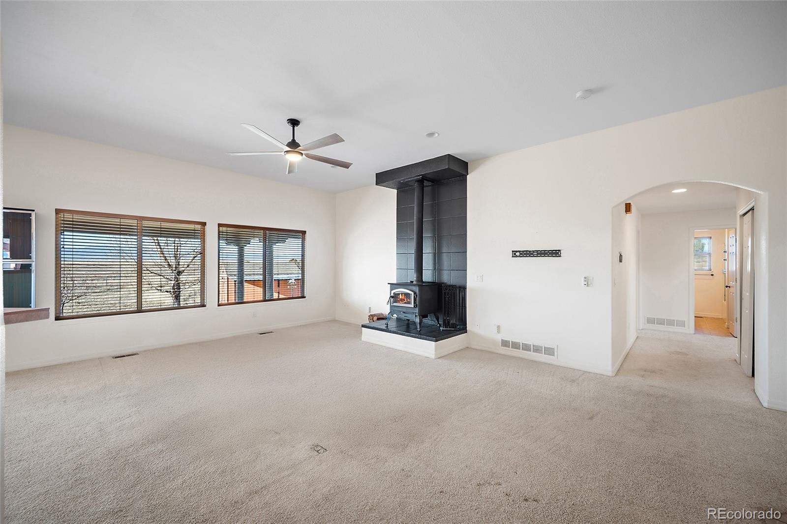 MLS Image #11 for 313 s montecito drive,pueblo, Colorado