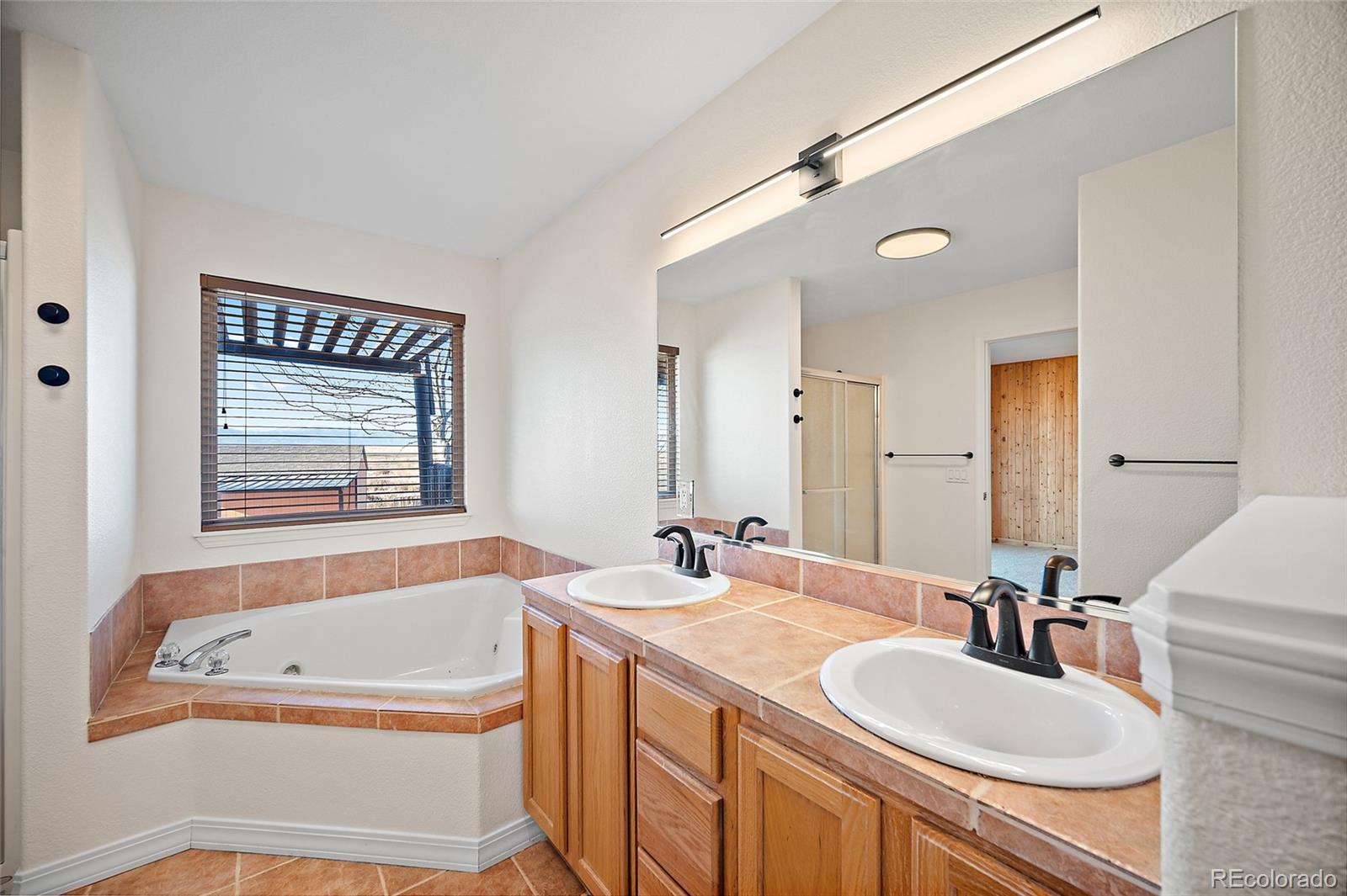MLS Image #18 for 313 s montecito drive,pueblo, Colorado