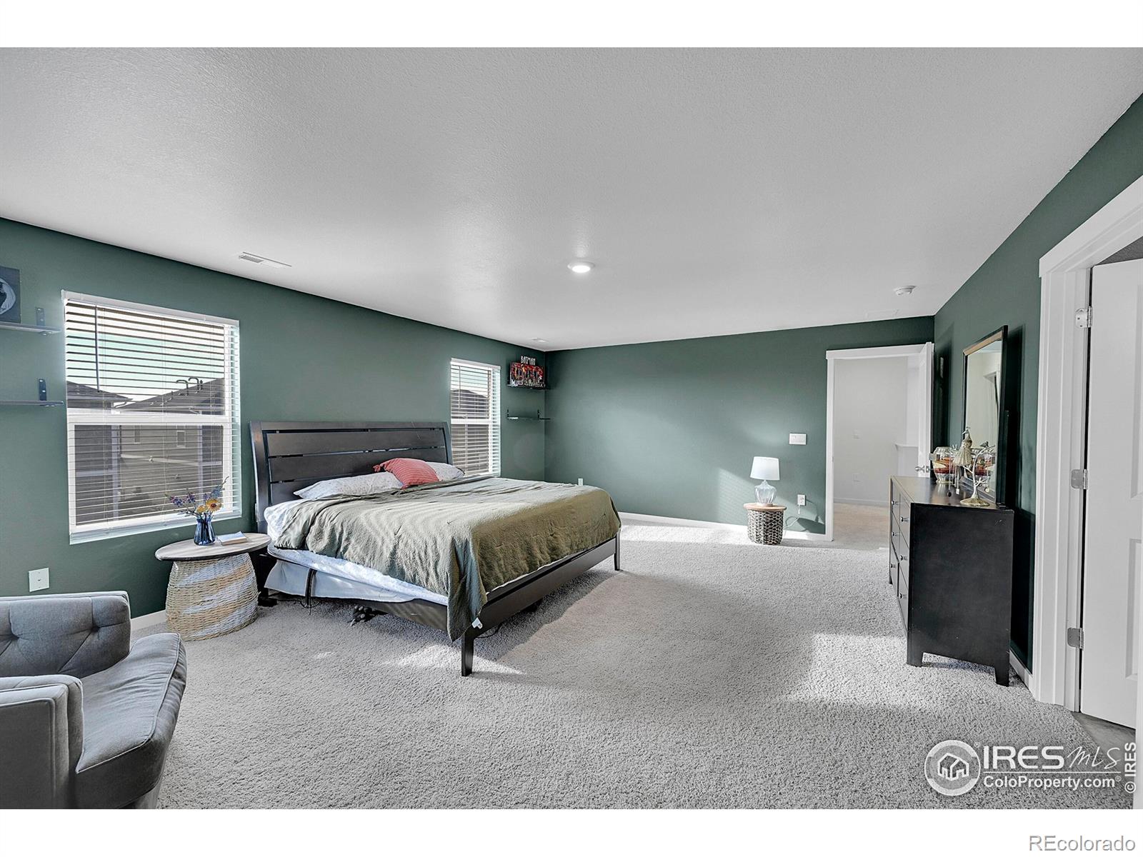 MLS Image #29 for 811  elias tarn drive,severance, Colorado
