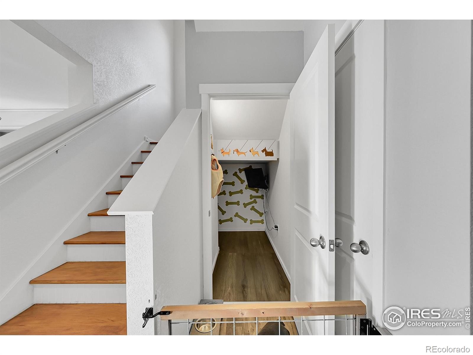 MLS Image #5 for 811  elias tarn drive,severance, Colorado