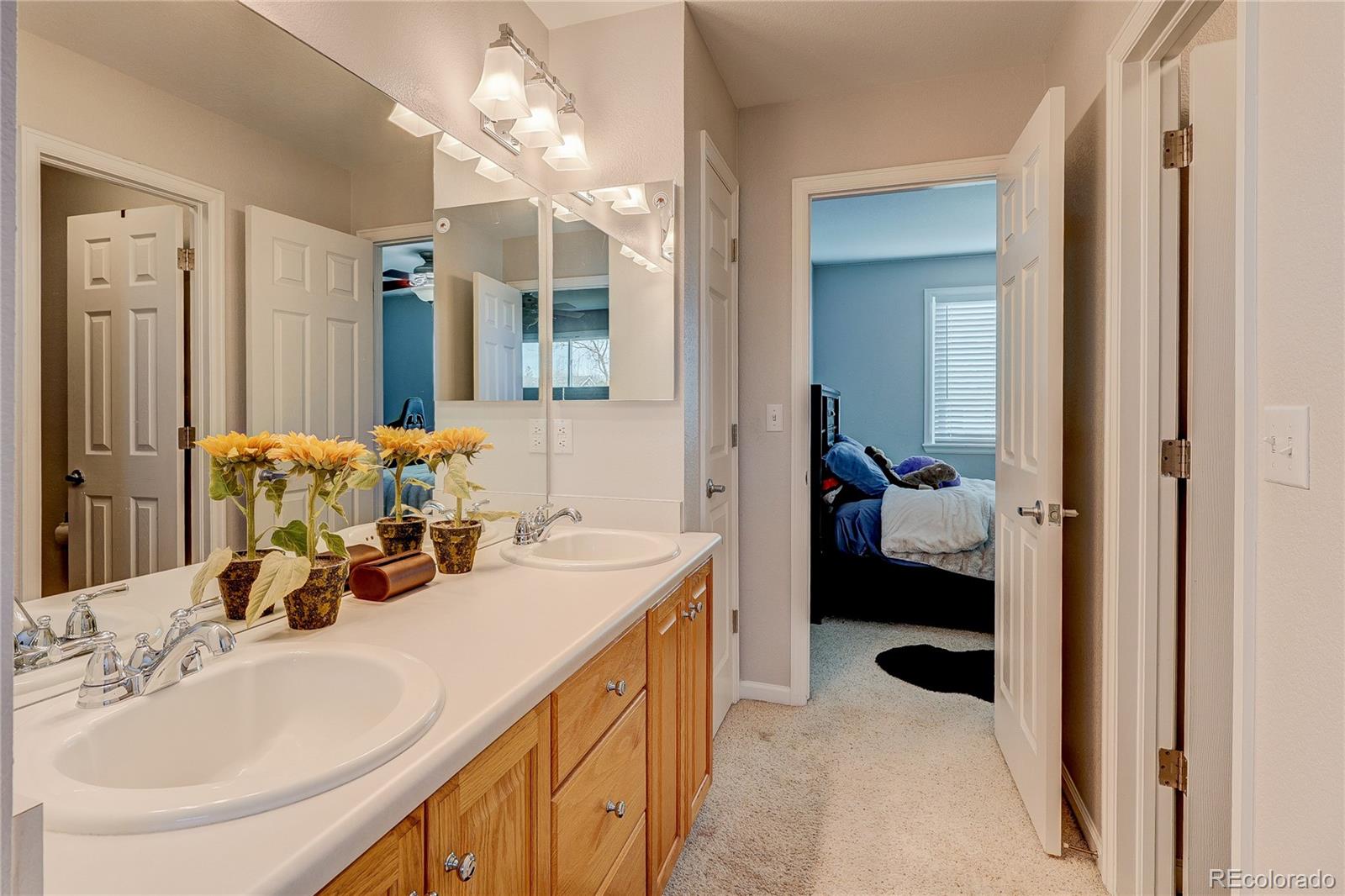 MLS Image #22 for 2946 s devinney court,lakewood, Colorado