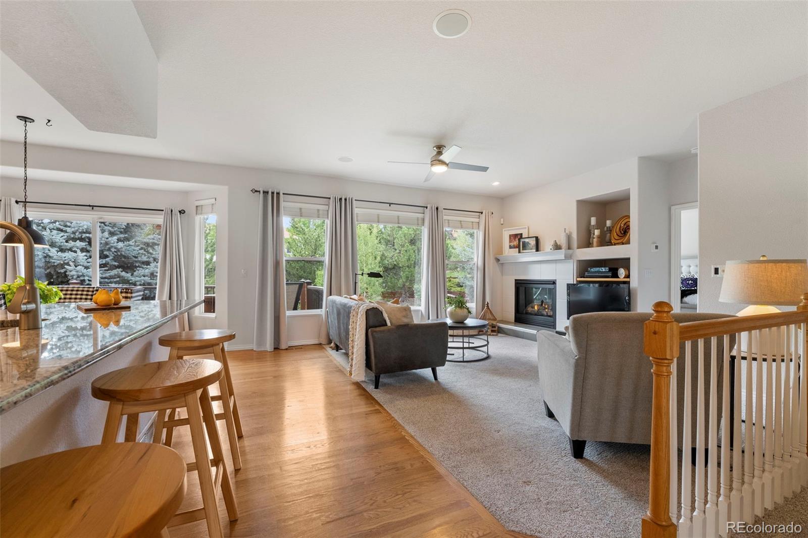 MLS Image #4 for 12202  mount baldy drive,colorado springs, Colorado