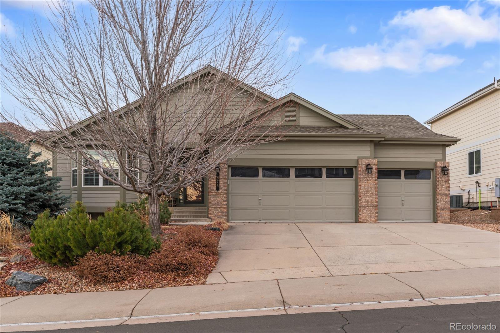 MLS Image #0 for 875  dales pony drive,castle rock, Colorado