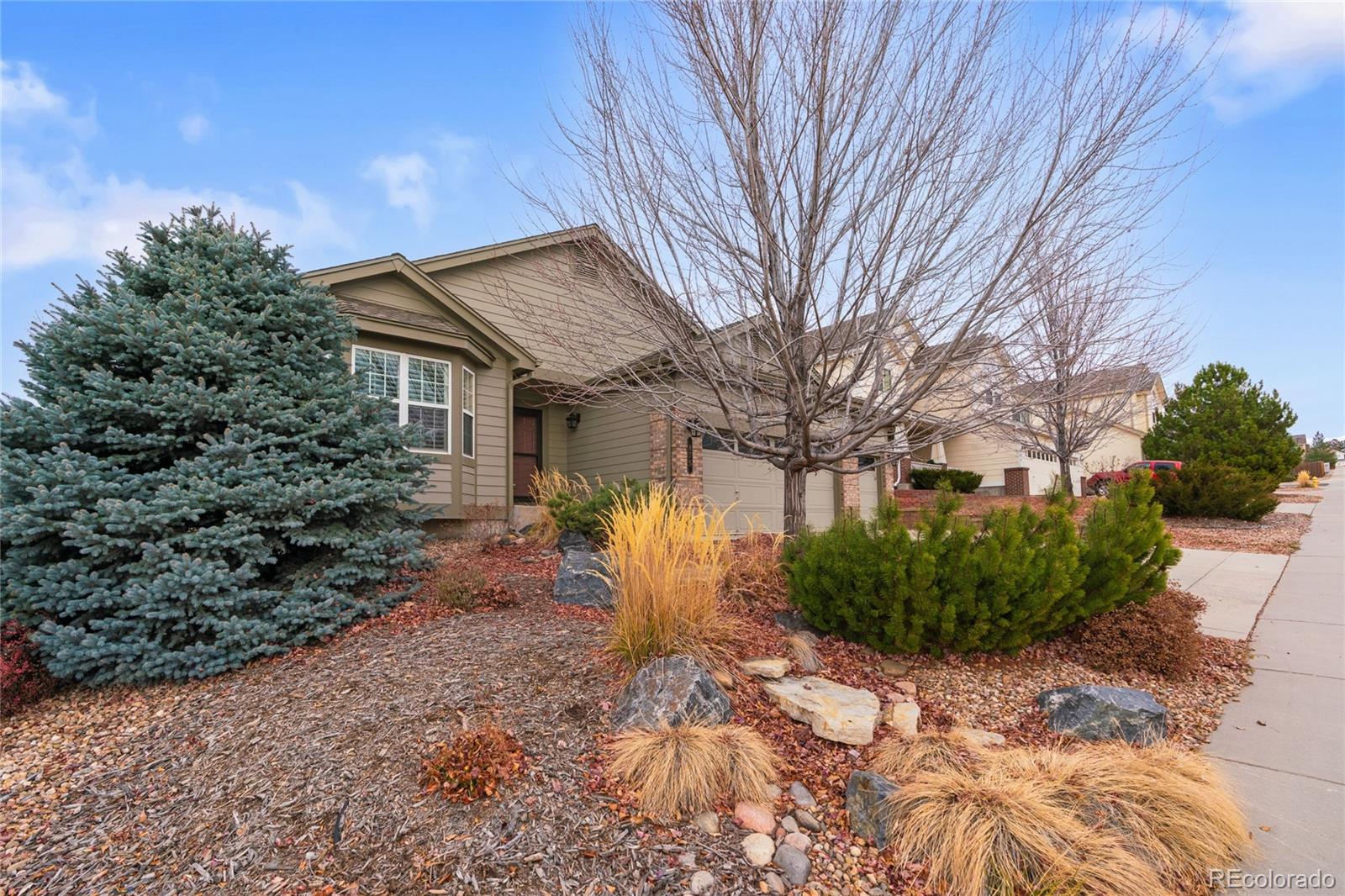 MLS Image #4 for 875  dales pony drive,castle rock, Colorado