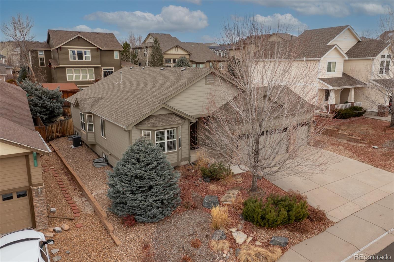 MLS Image #5 for 875  dales pony drive,castle rock, Colorado