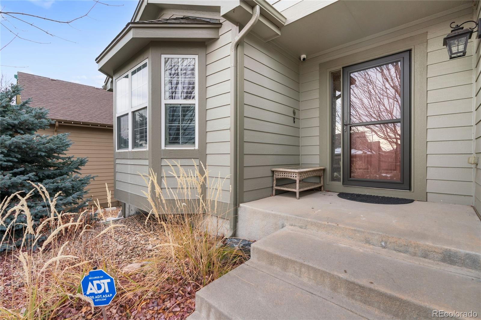 MLS Image #6 for 875  dales pony drive,castle rock, Colorado
