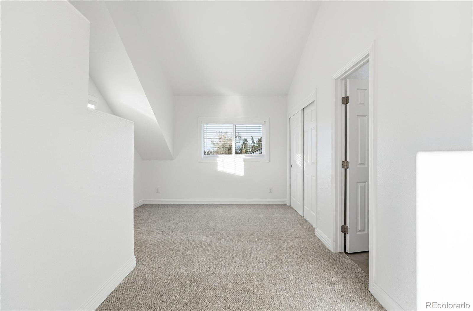 MLS Image #29 for 1661  trenton street,denver, Colorado