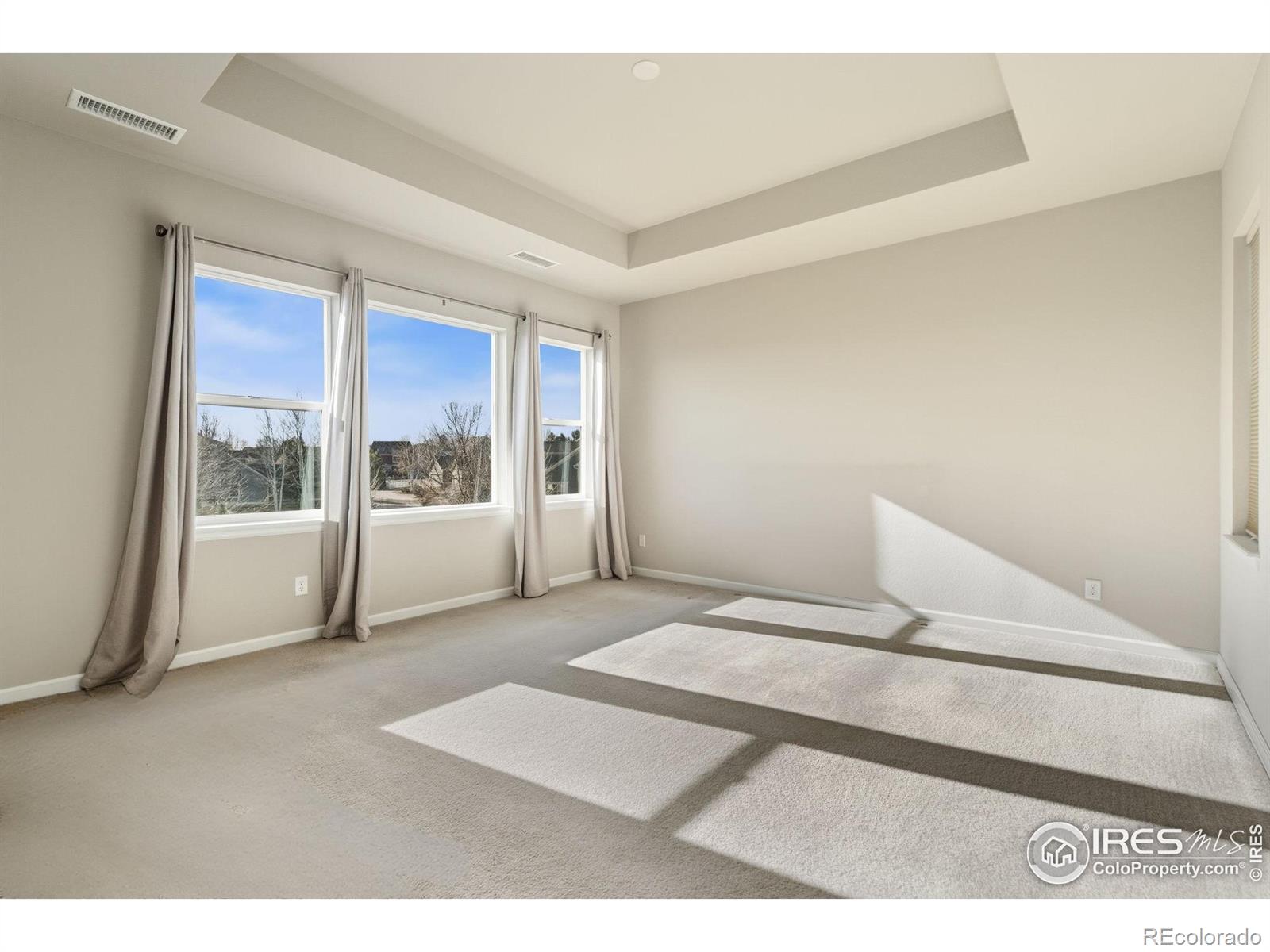 MLS Image #21 for 4272  lyric falls drive,loveland, Colorado