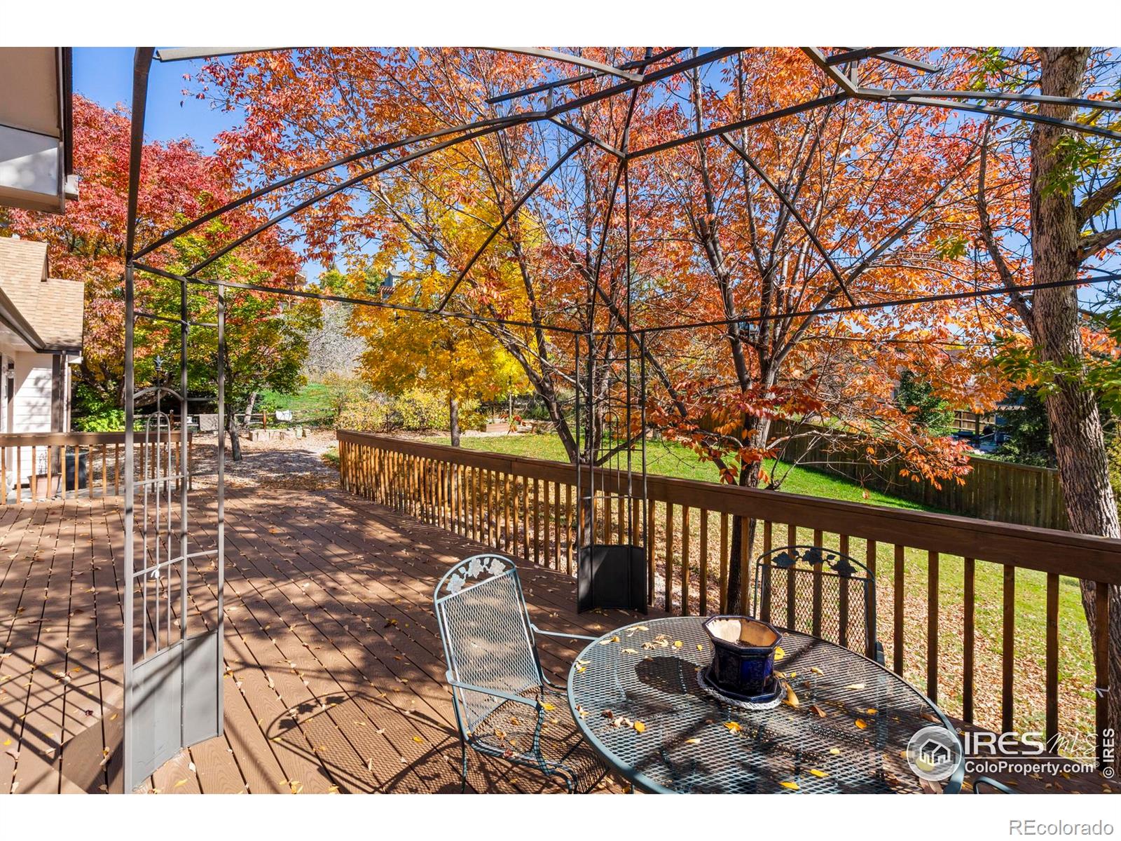 MLS Image #10 for 2409  denby court,fort collins, Colorado