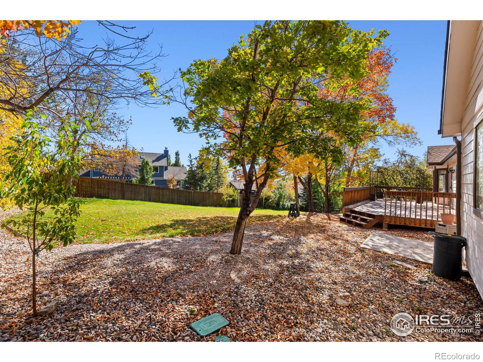 MLS Image #11 for 2409  denby court,fort collins, Colorado