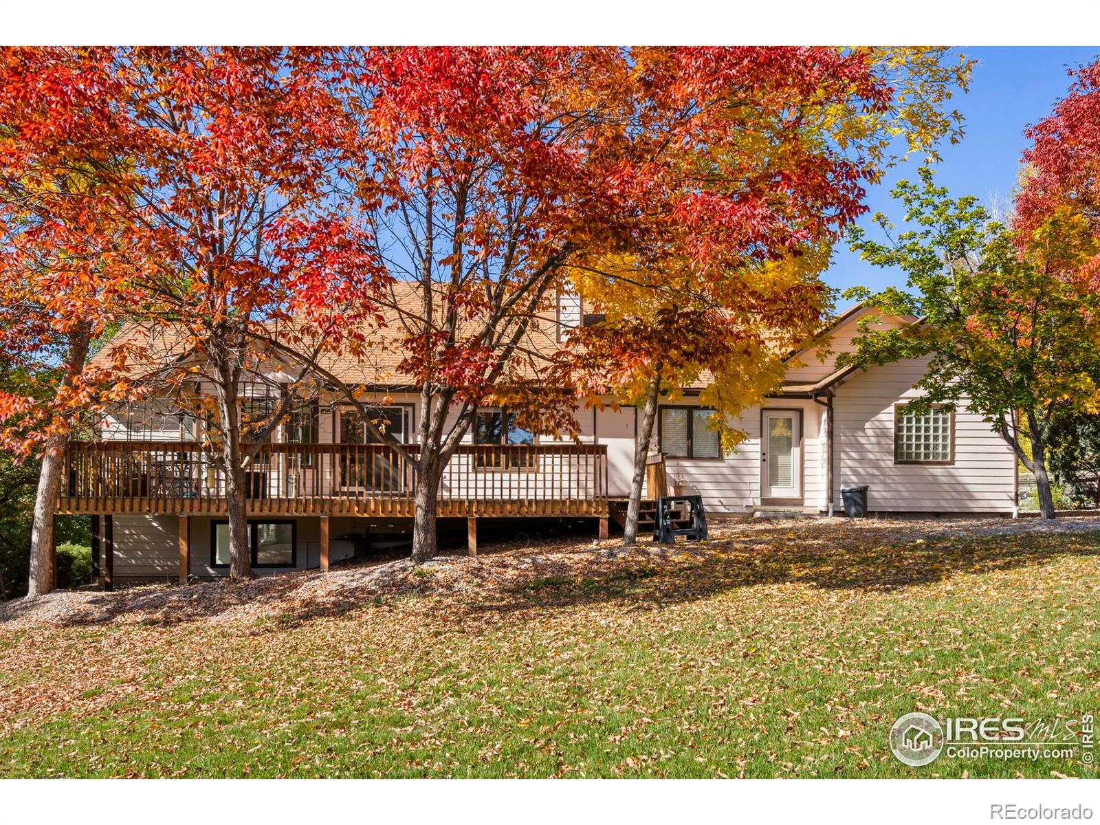MLS Image #13 for 2409  denby court,fort collins, Colorado