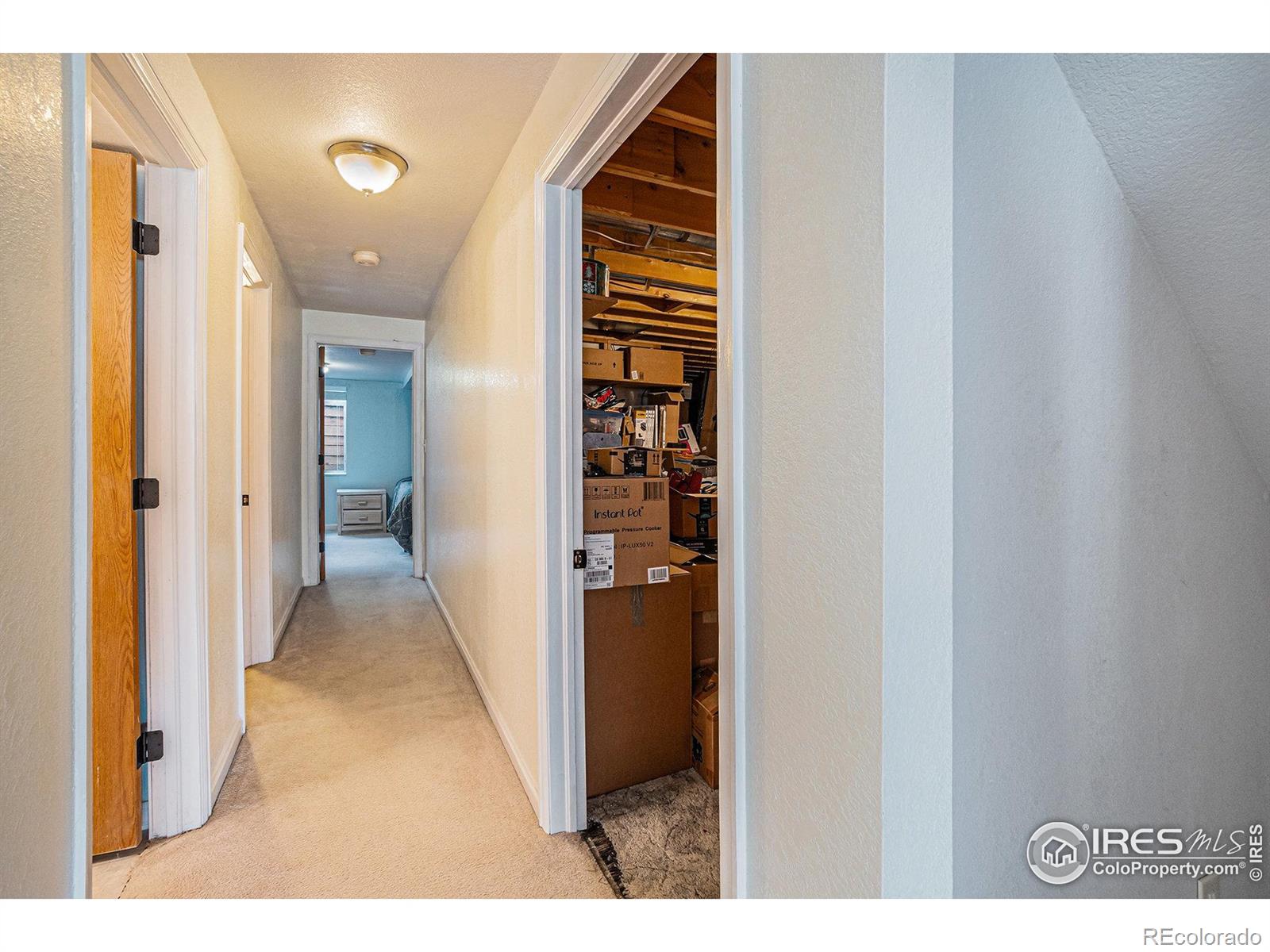 MLS Image #42 for 2409  denby court,fort collins, Colorado