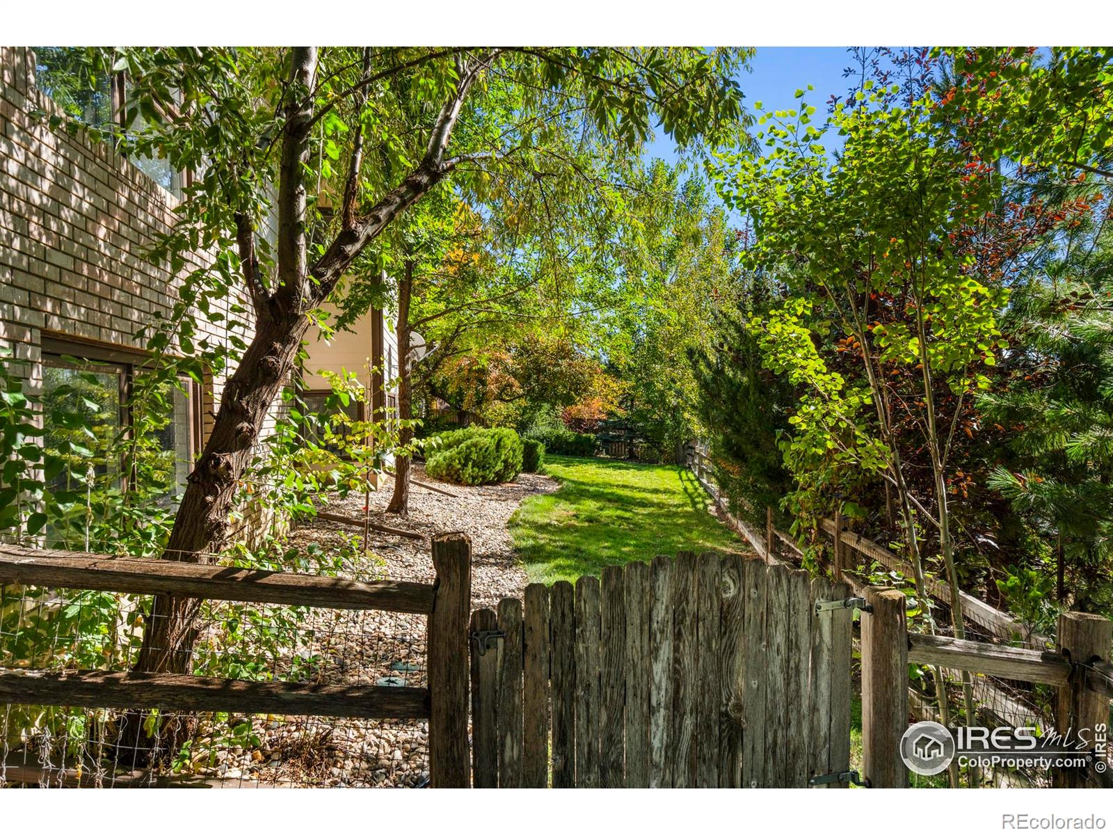 MLS Image #8 for 2409  denby court,fort collins, Colorado