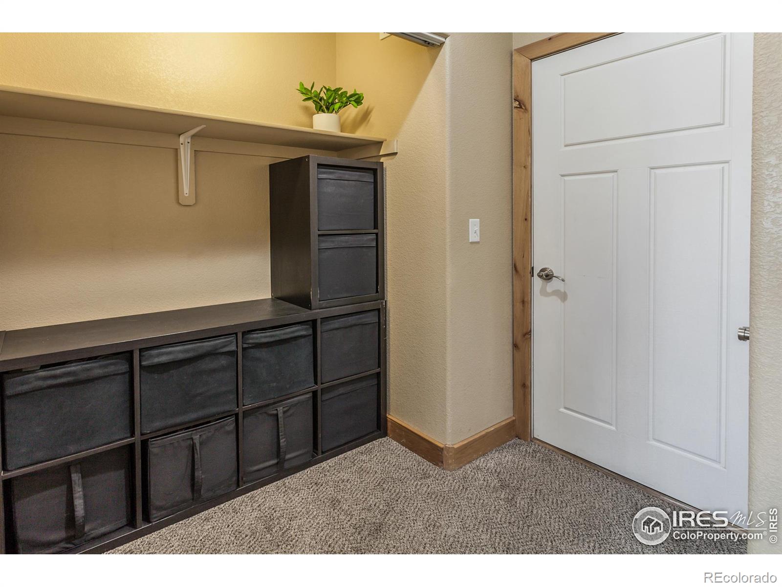 MLS Image #13 for 2569  custer drive,fort collins, Colorado
