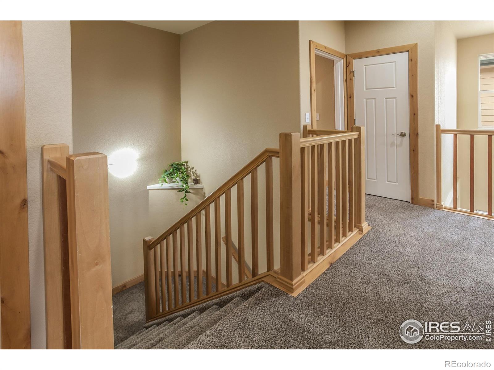 MLS Image #14 for 2569  custer drive,fort collins, Colorado