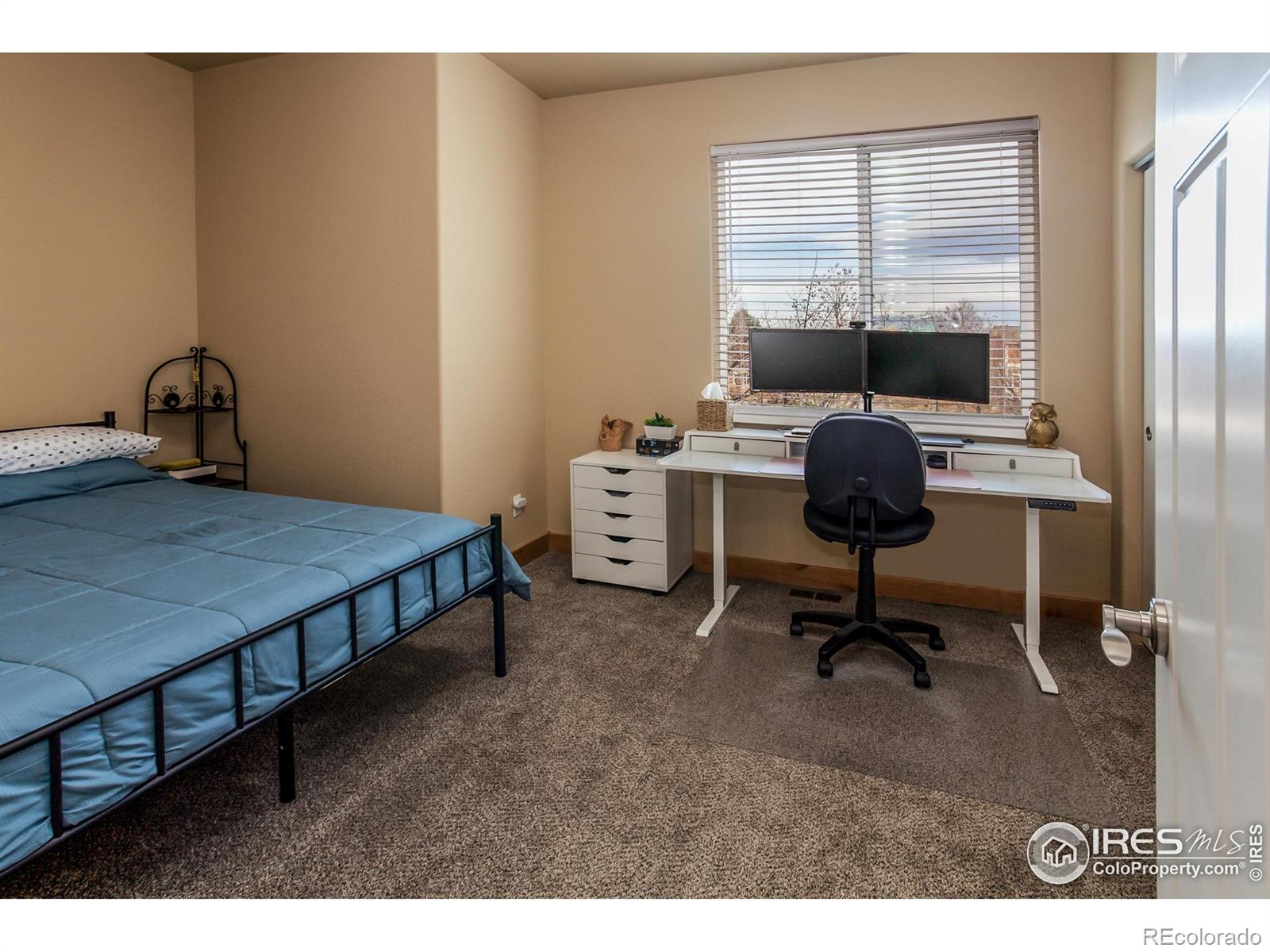 MLS Image #21 for 2569  custer drive,fort collins, Colorado