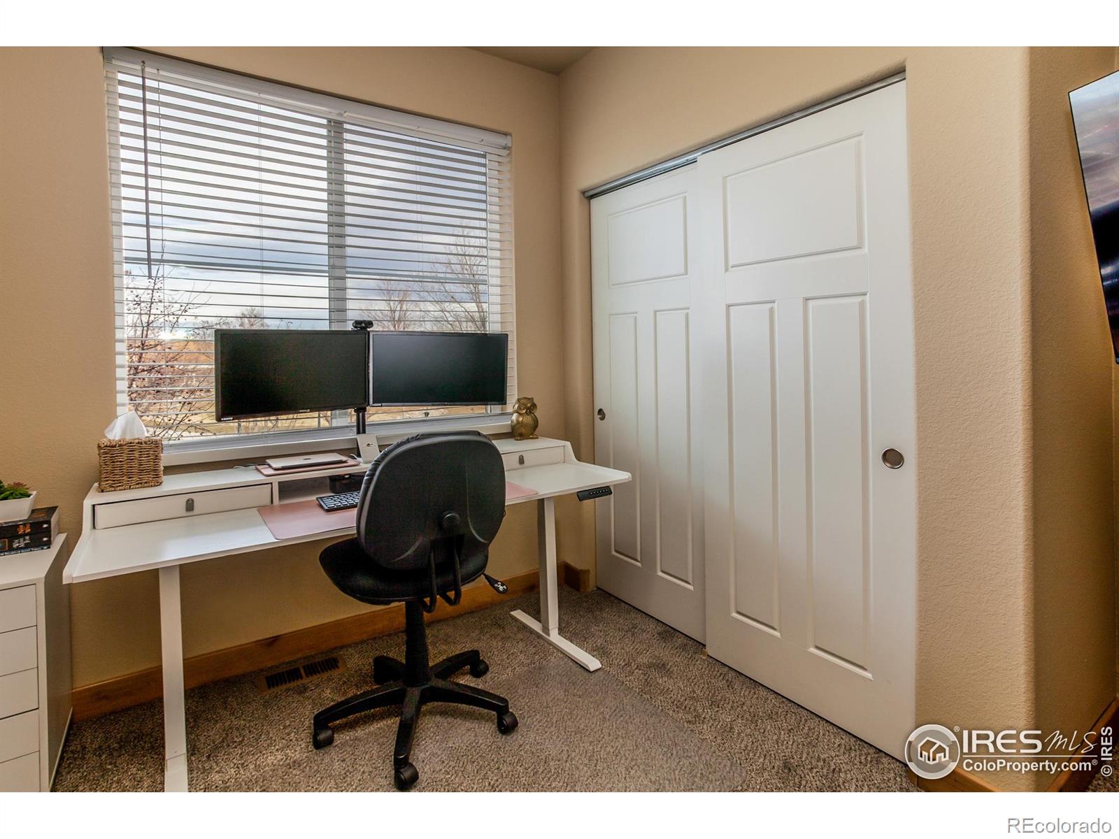 MLS Image #22 for 2569  custer drive,fort collins, Colorado