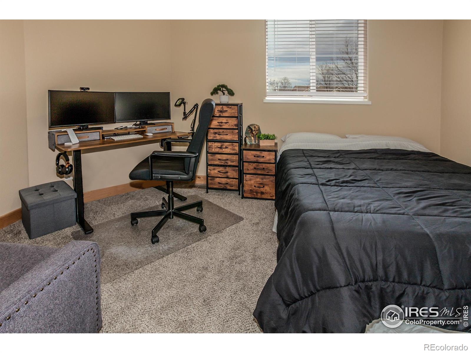 MLS Image #25 for 2569  custer drive,fort collins, Colorado
