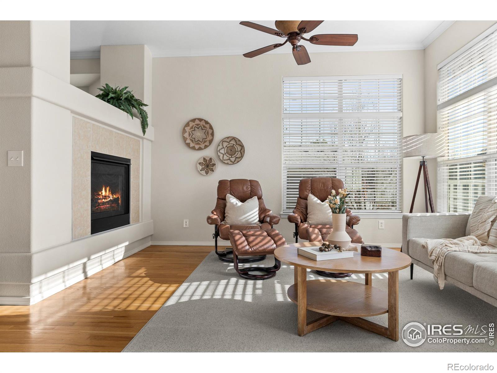 MLS Image #13 for 12737  jackson street ,thornton, Colorado