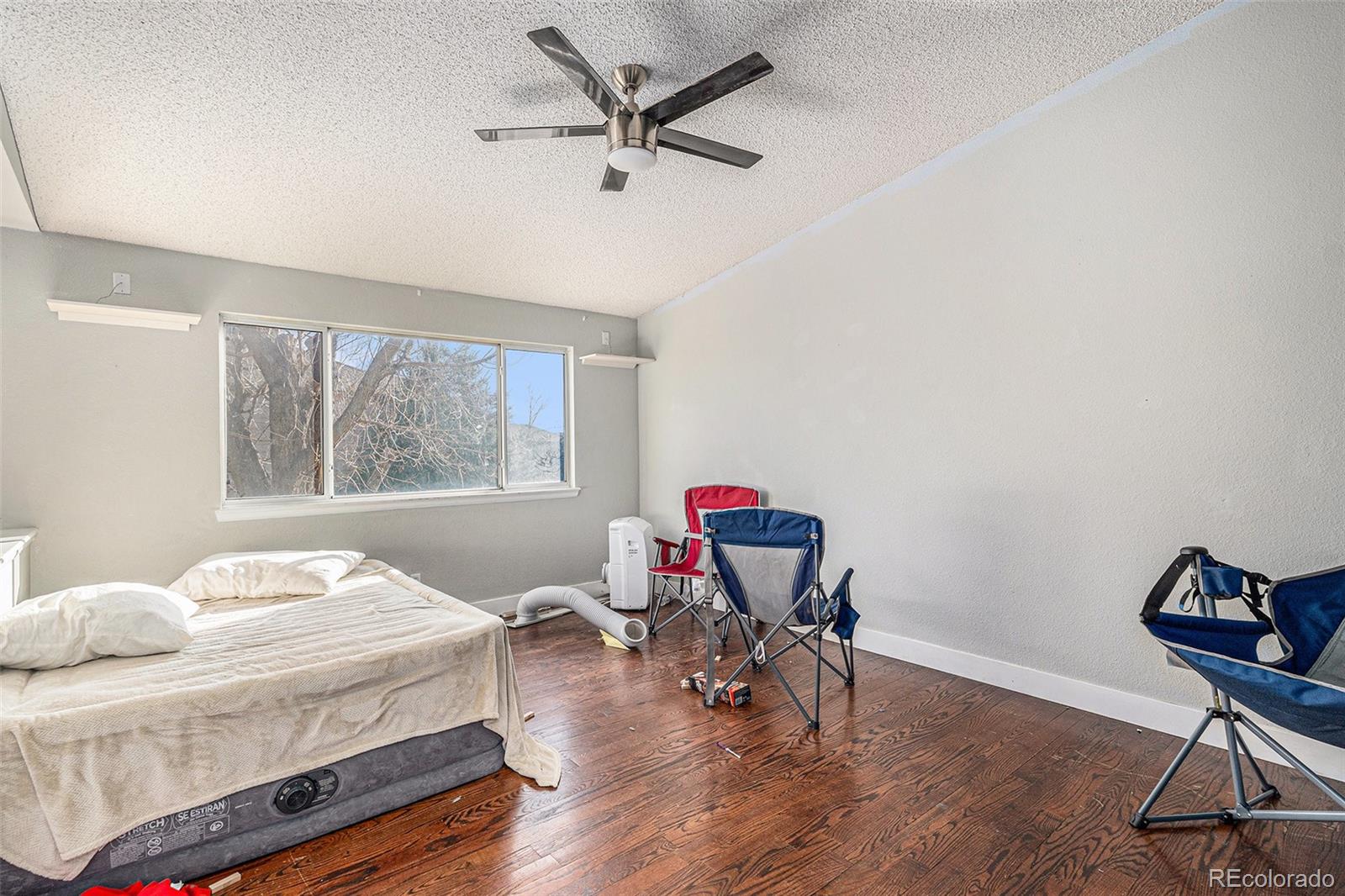 MLS Image #5 for 4690 n foxtail drive,castle rock, Colorado