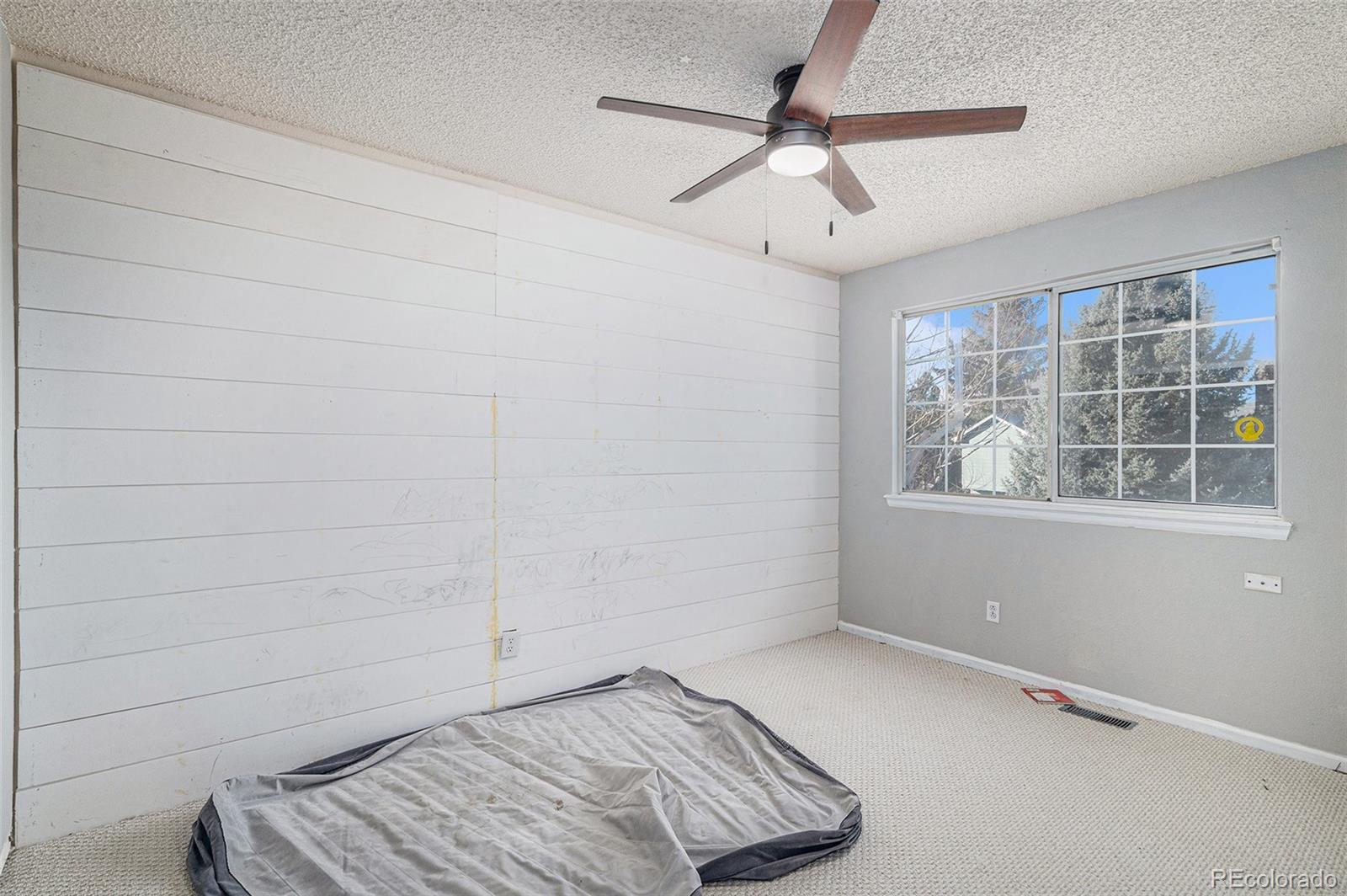 MLS Image #6 for 4690 n foxtail drive,castle rock, Colorado