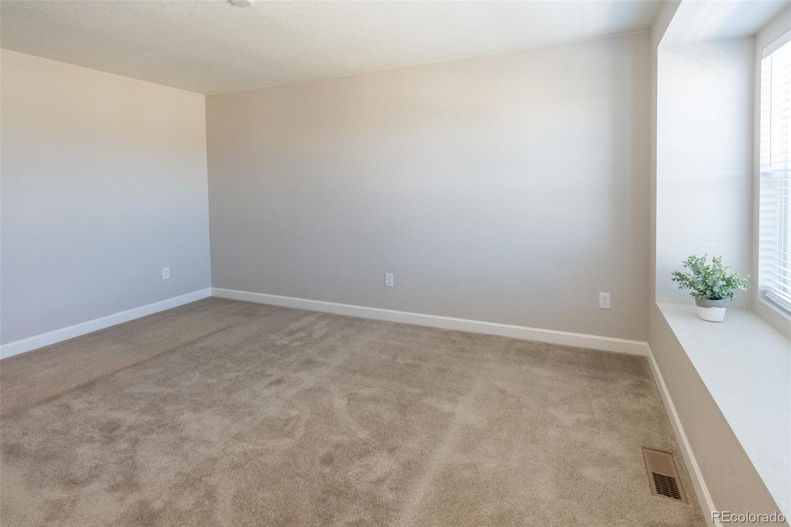 MLS Image #13 for 3074  distant rock avenue,castle rock, Colorado