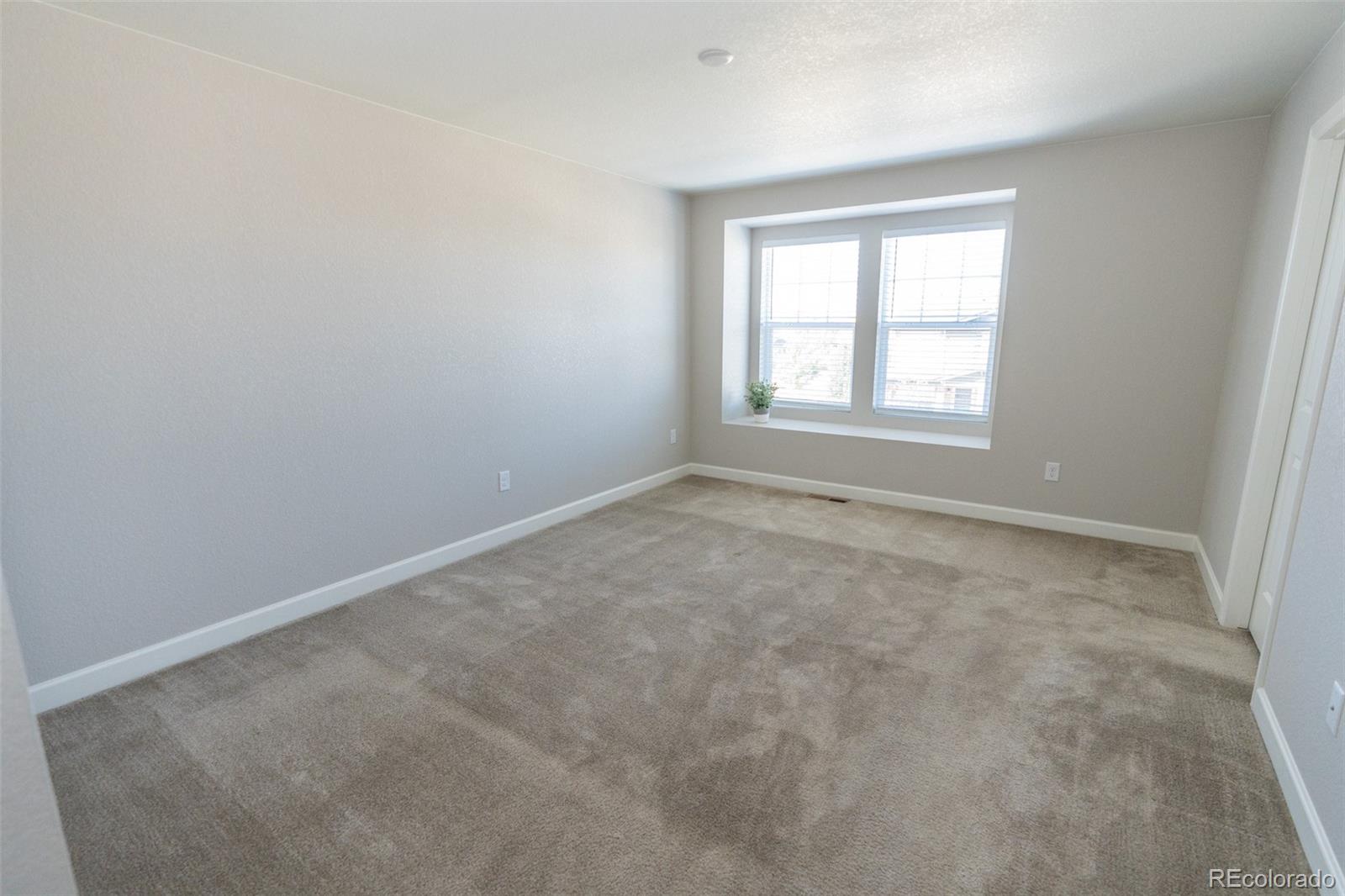 MLS Image #14 for 3074  distant rock avenue,castle rock, Colorado