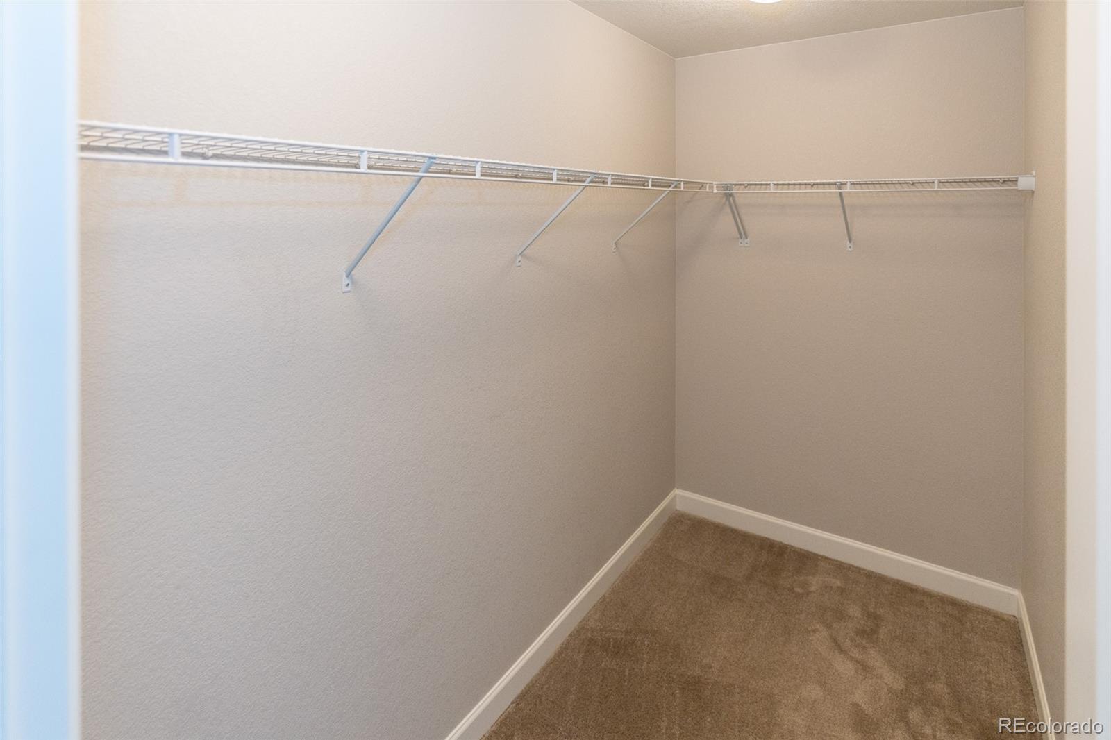 MLS Image #15 for 3074  distant rock avenue,castle rock, Colorado