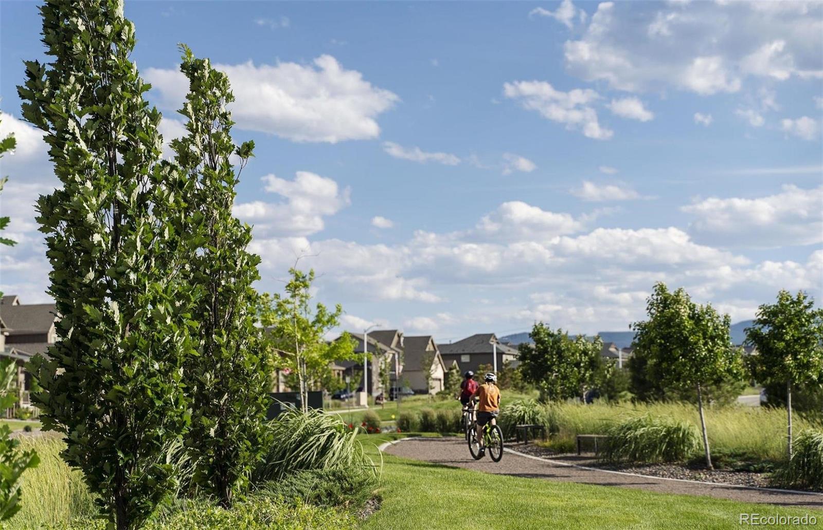 MLS Image #16 for 8449  ordway drive,littleton, Colorado
