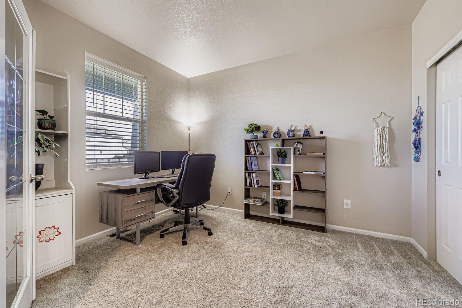 MLS Image #11 for 13449  waterthrush street,parker, Colorado