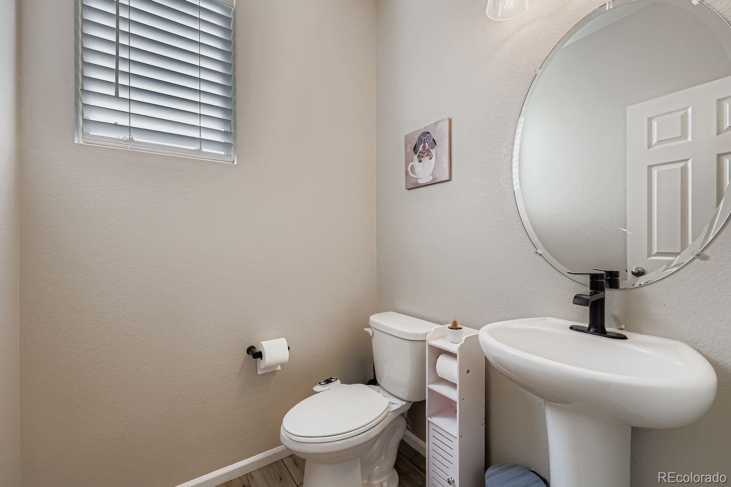 MLS Image #12 for 13449  waterthrush street,parker, Colorado