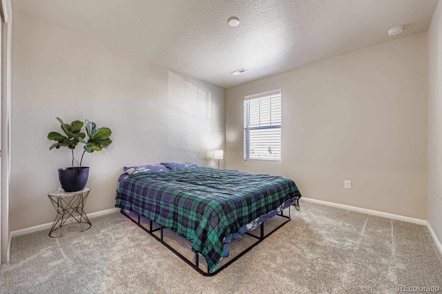 MLS Image #19 for 13449  waterthrush street,parker, Colorado