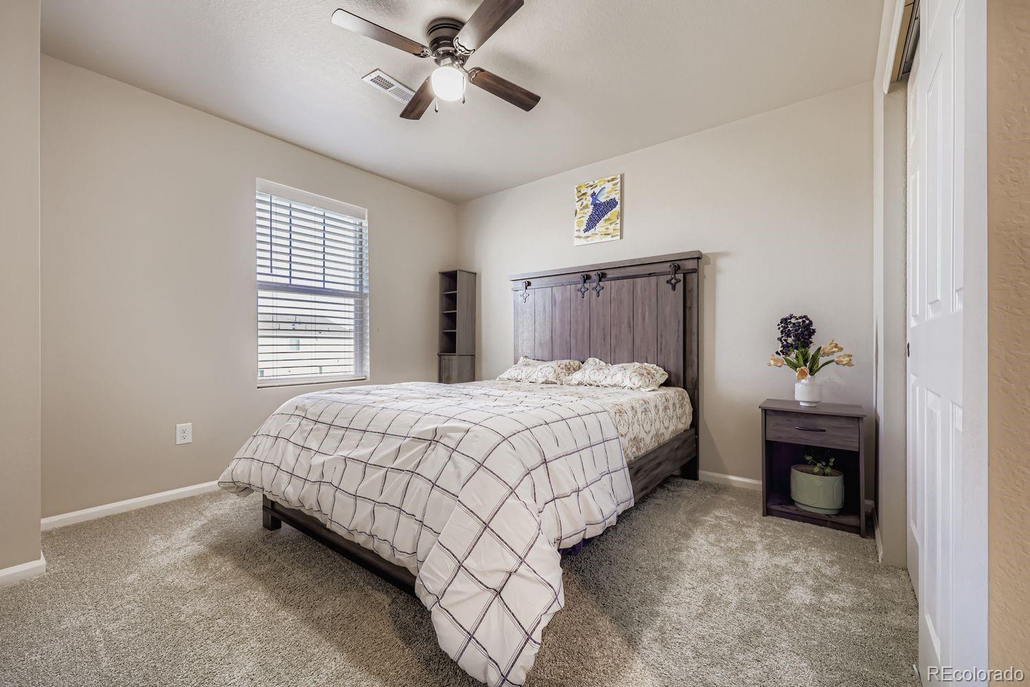 MLS Image #20 for 13449  waterthrush street,parker, Colorado