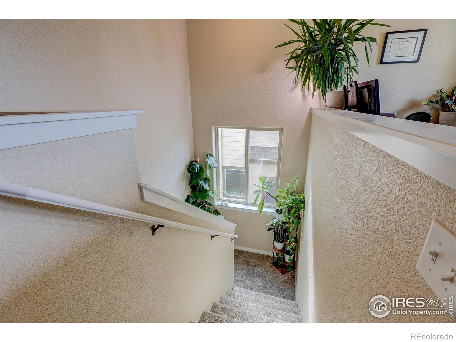 MLS Image #29 for 3114  68th ave ct,greeley, Colorado