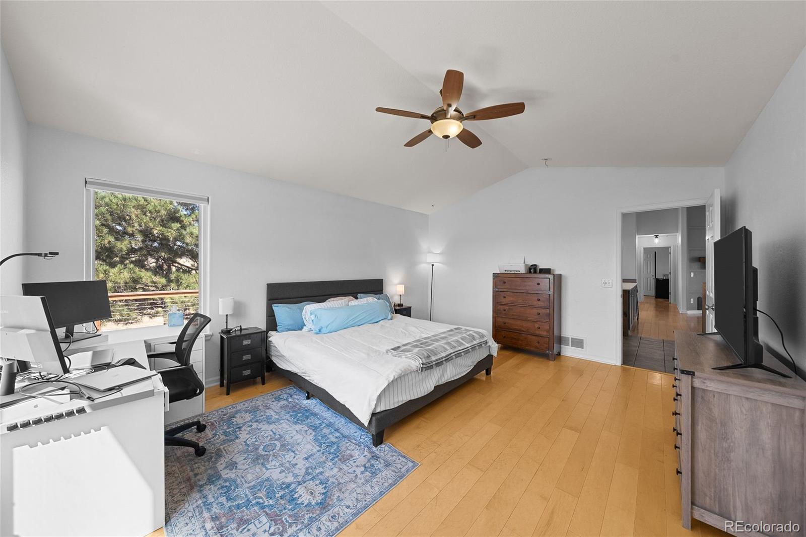 MLS Image #16 for 11549  haskell creek road,larkspur, Colorado