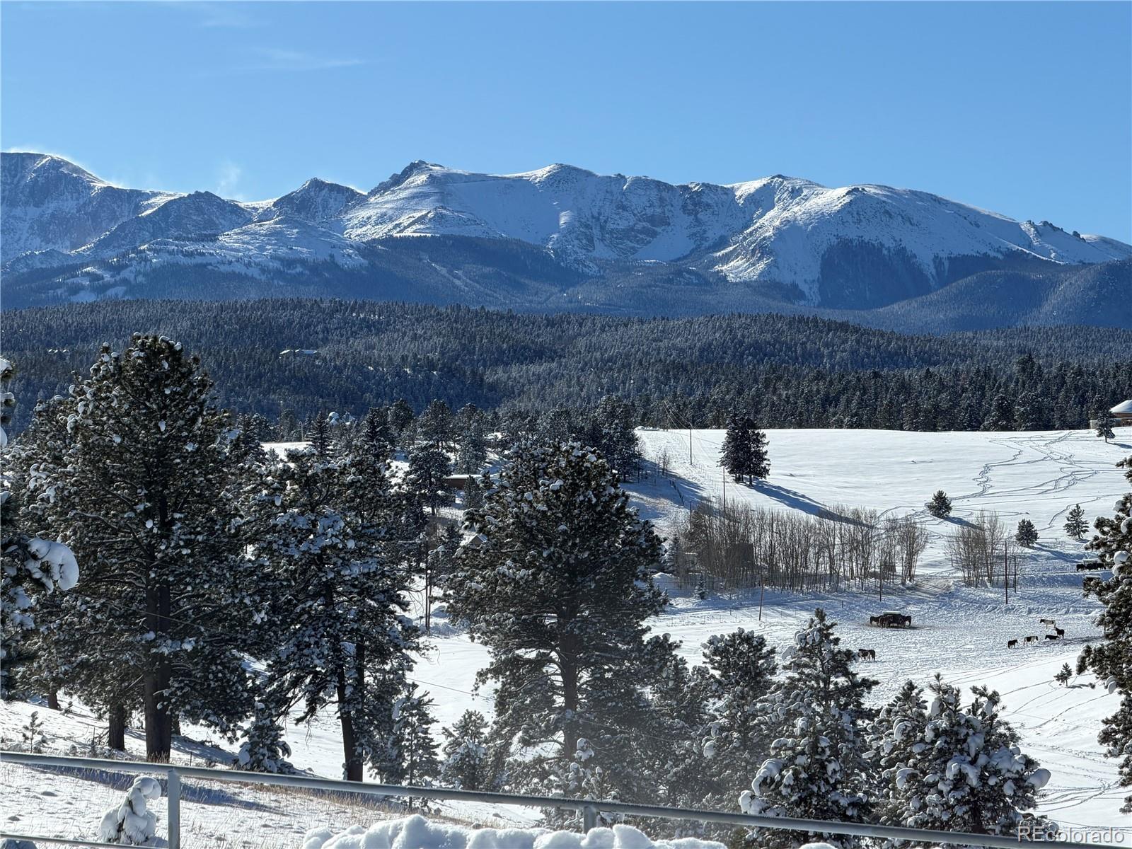 MLS Image #1 for 231 s forty road,woodland park, Colorado
