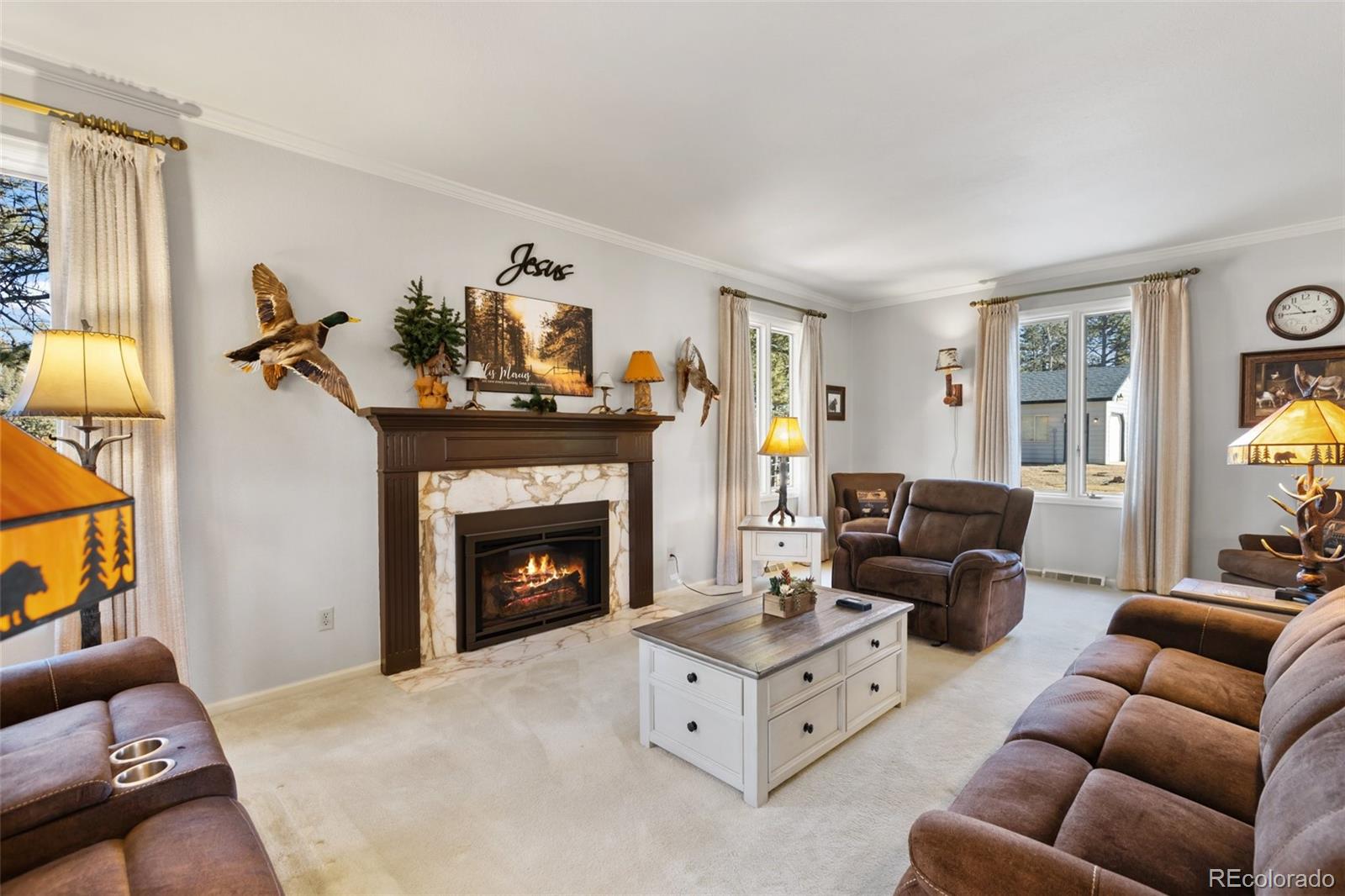 MLS Image #13 for 231 s forty road,woodland park, Colorado