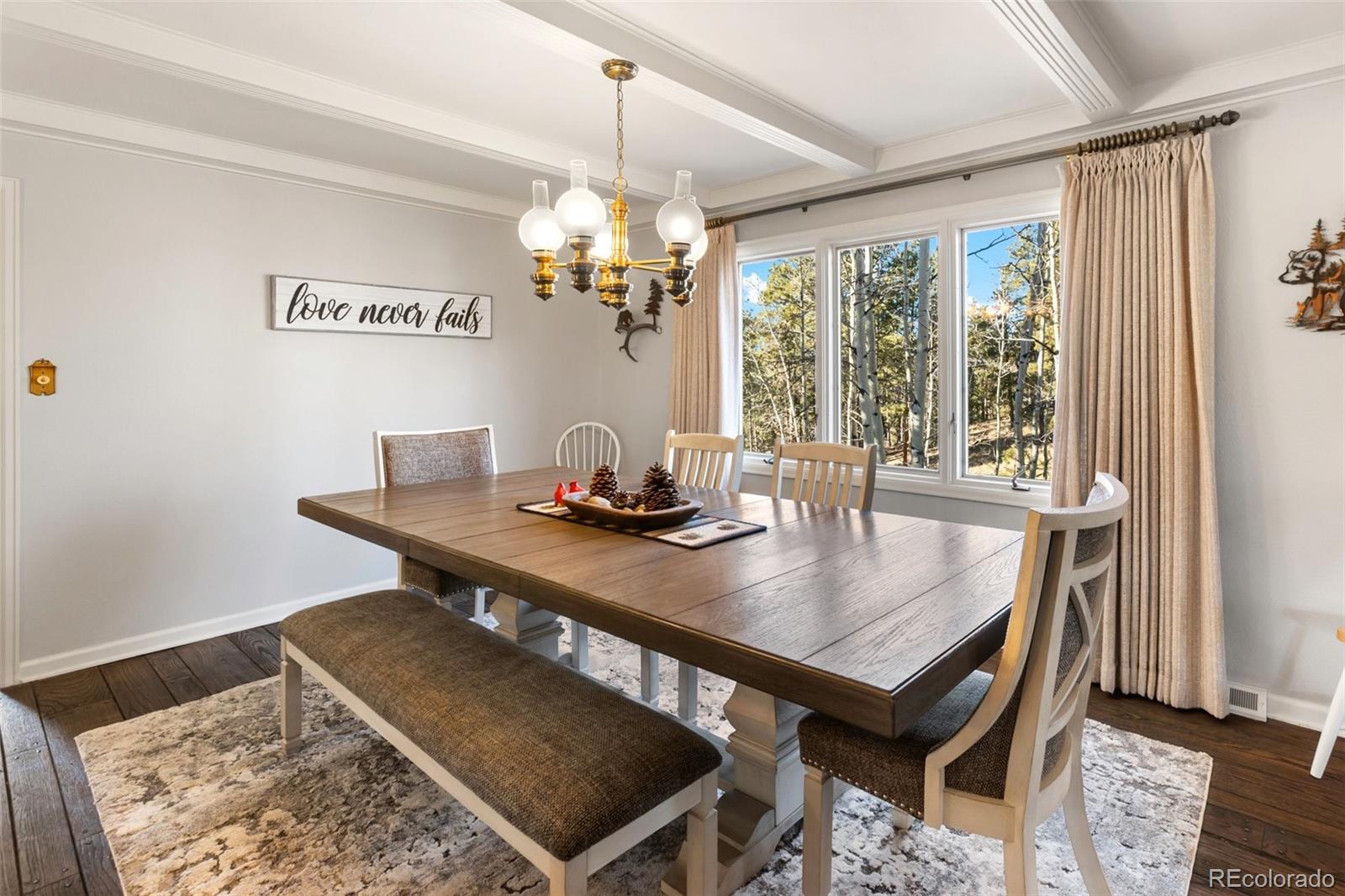 MLS Image #16 for 231 s forty road,woodland park, Colorado