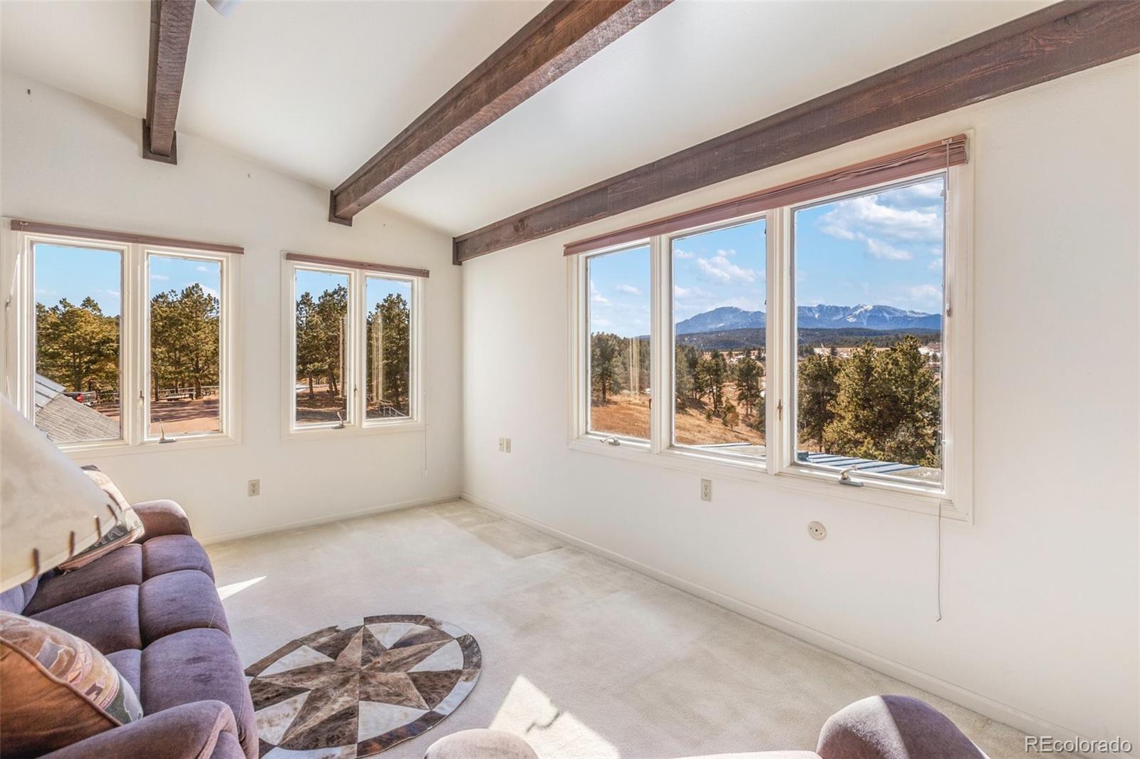 MLS Image #20 for 231 s forty road,woodland park, Colorado